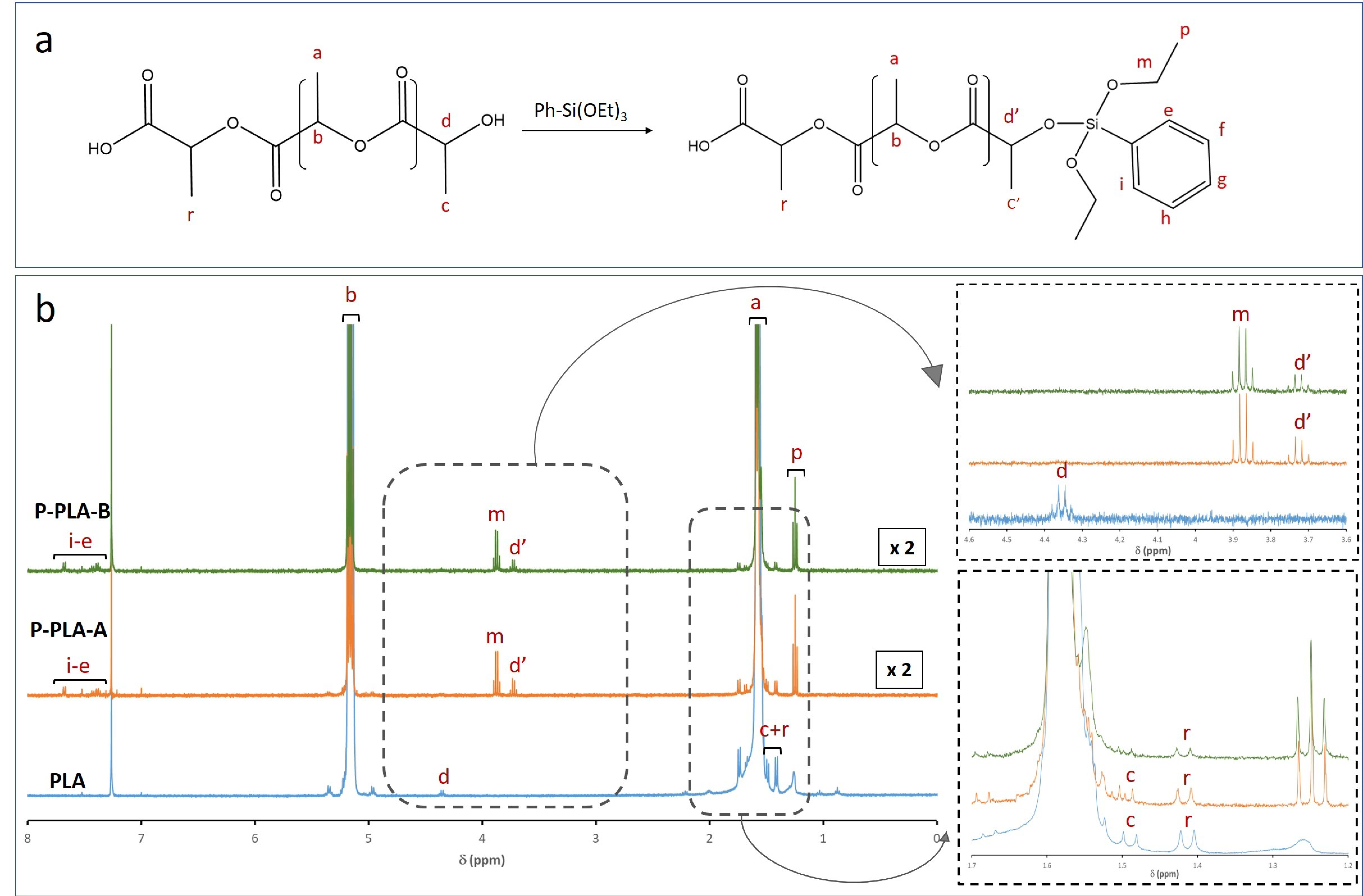 Polymers 13 02475 g003 Polymers 13 02475 g003