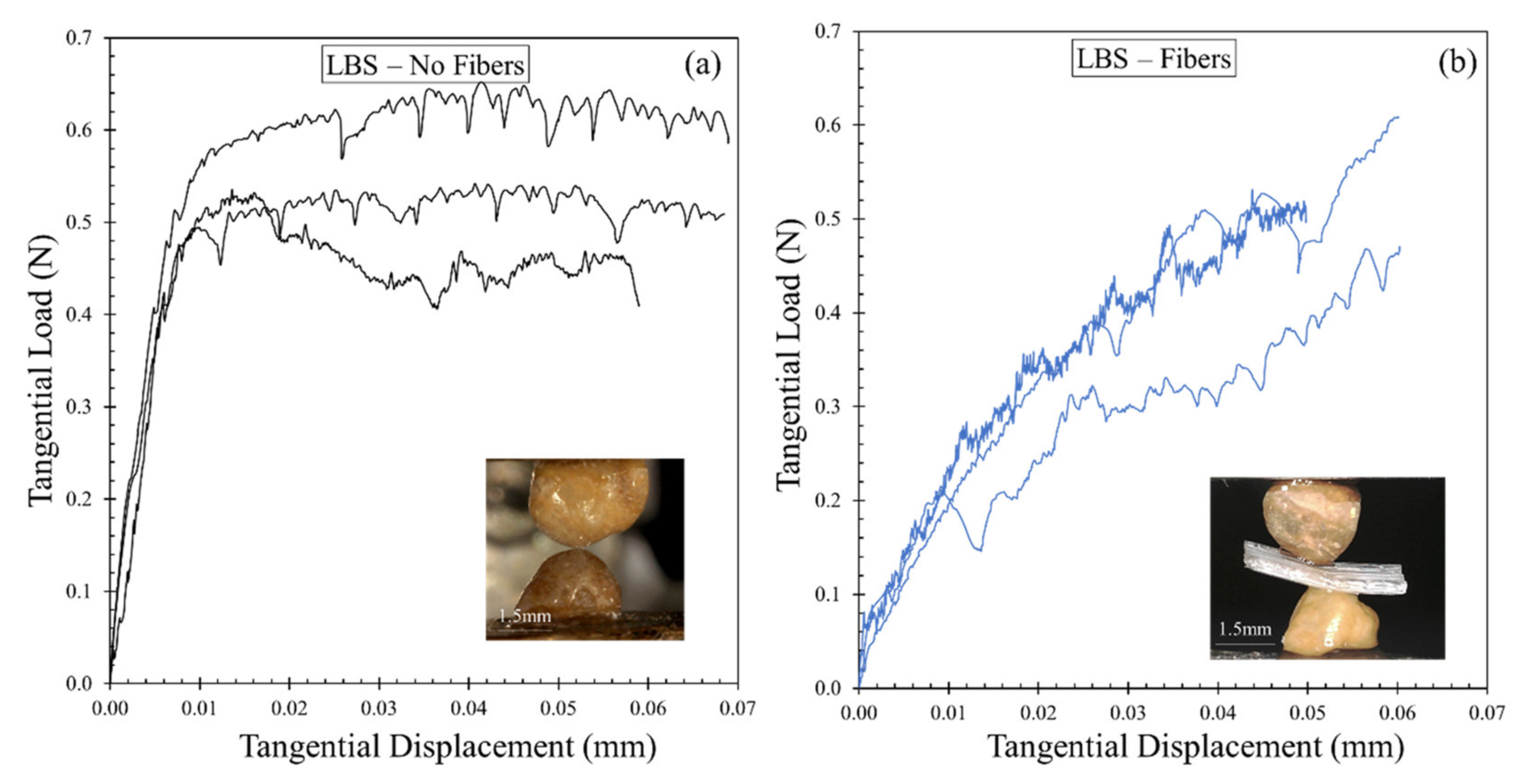Polymers 13 02476 g014