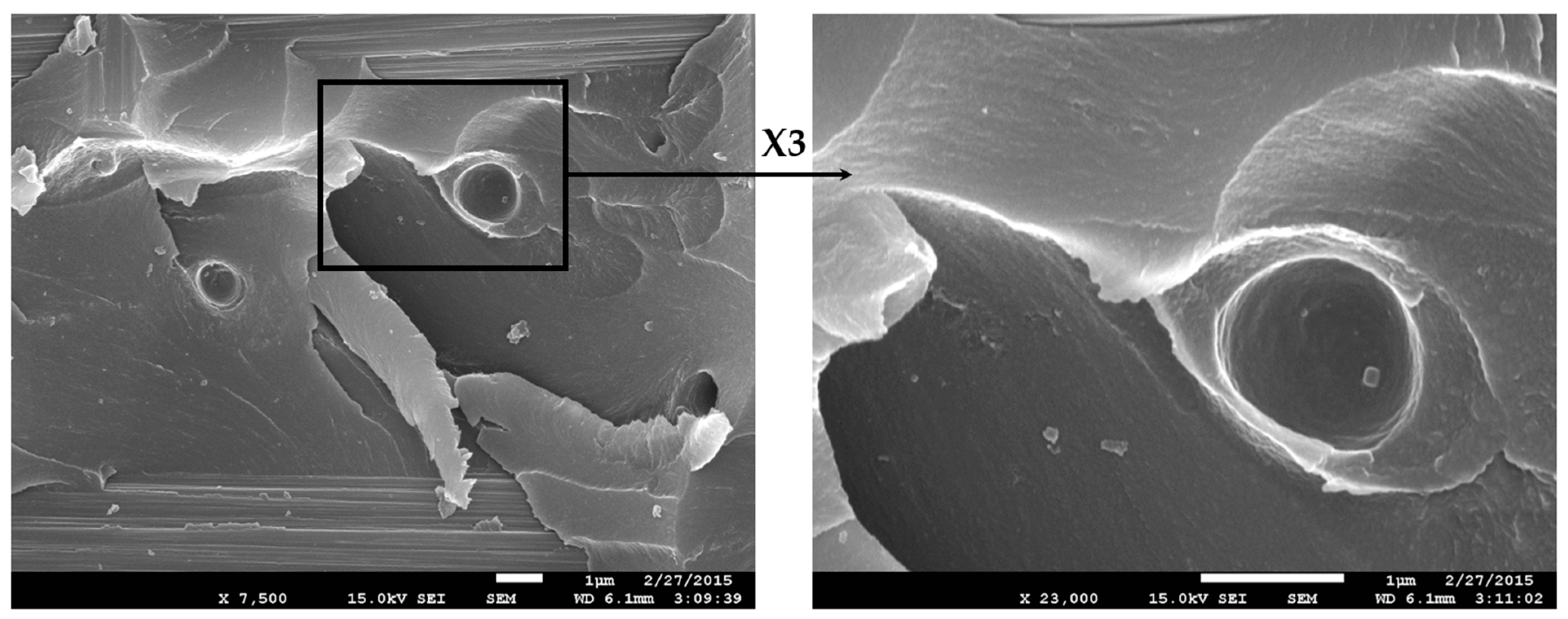 Polymers 13 02477 g009 550