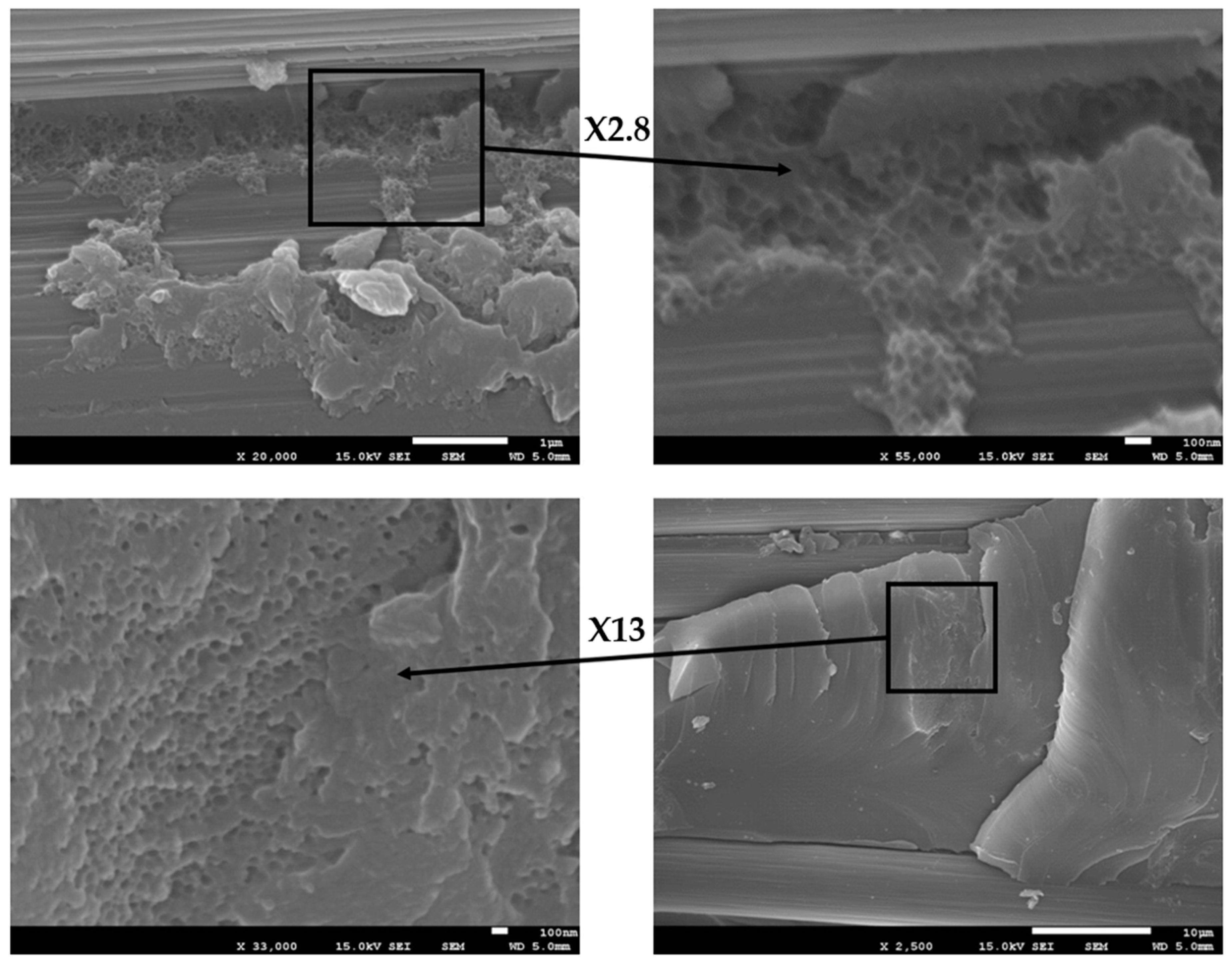 Polymers 13 02477 g010 550
