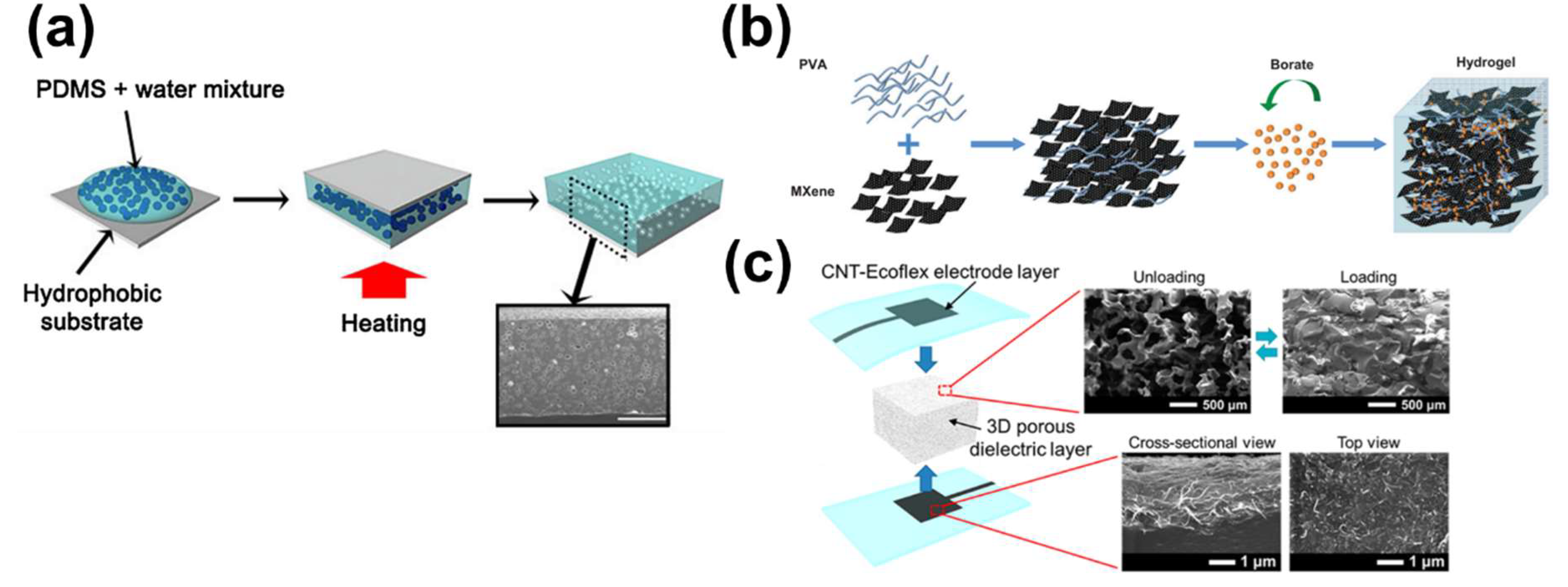 Polymers 13 02478 g001 Polymers 13 02478 g001