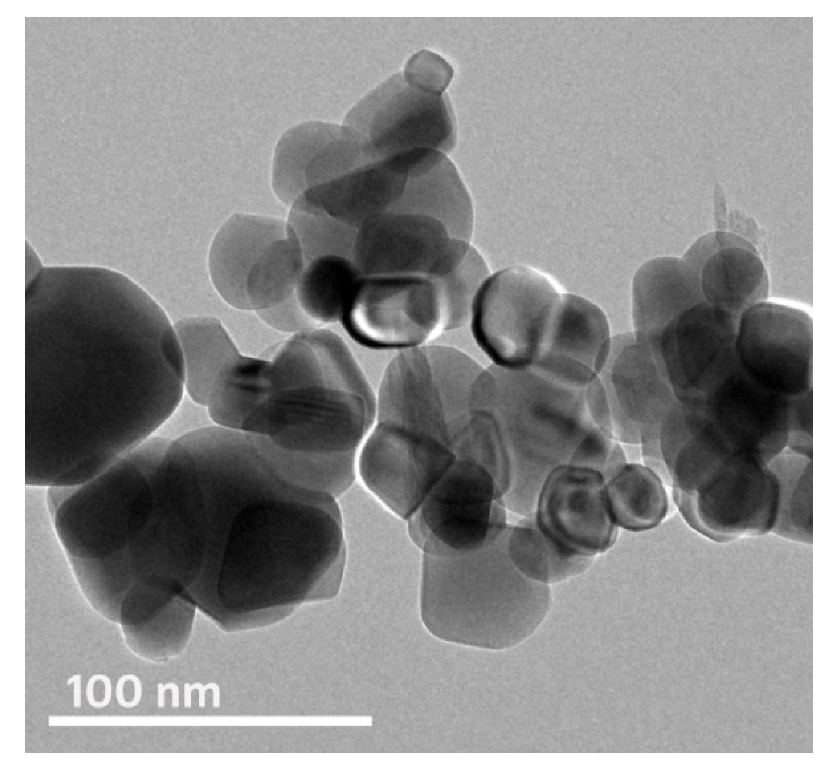 Polymers 13 02481 g002