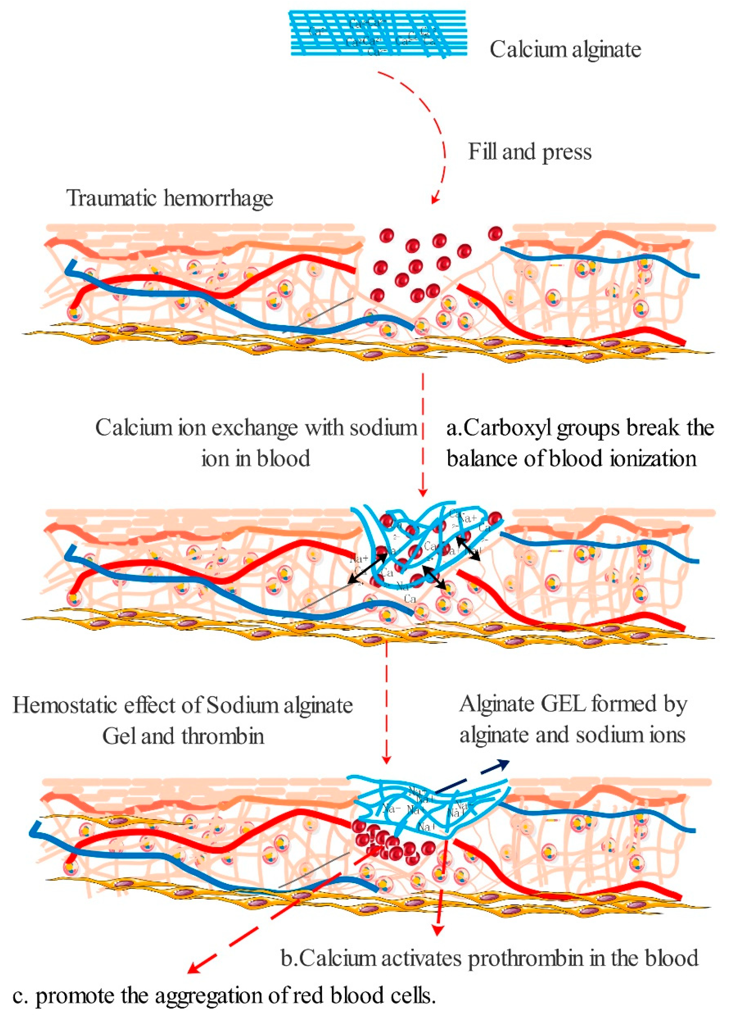 Polymers 13 02482 g002 550