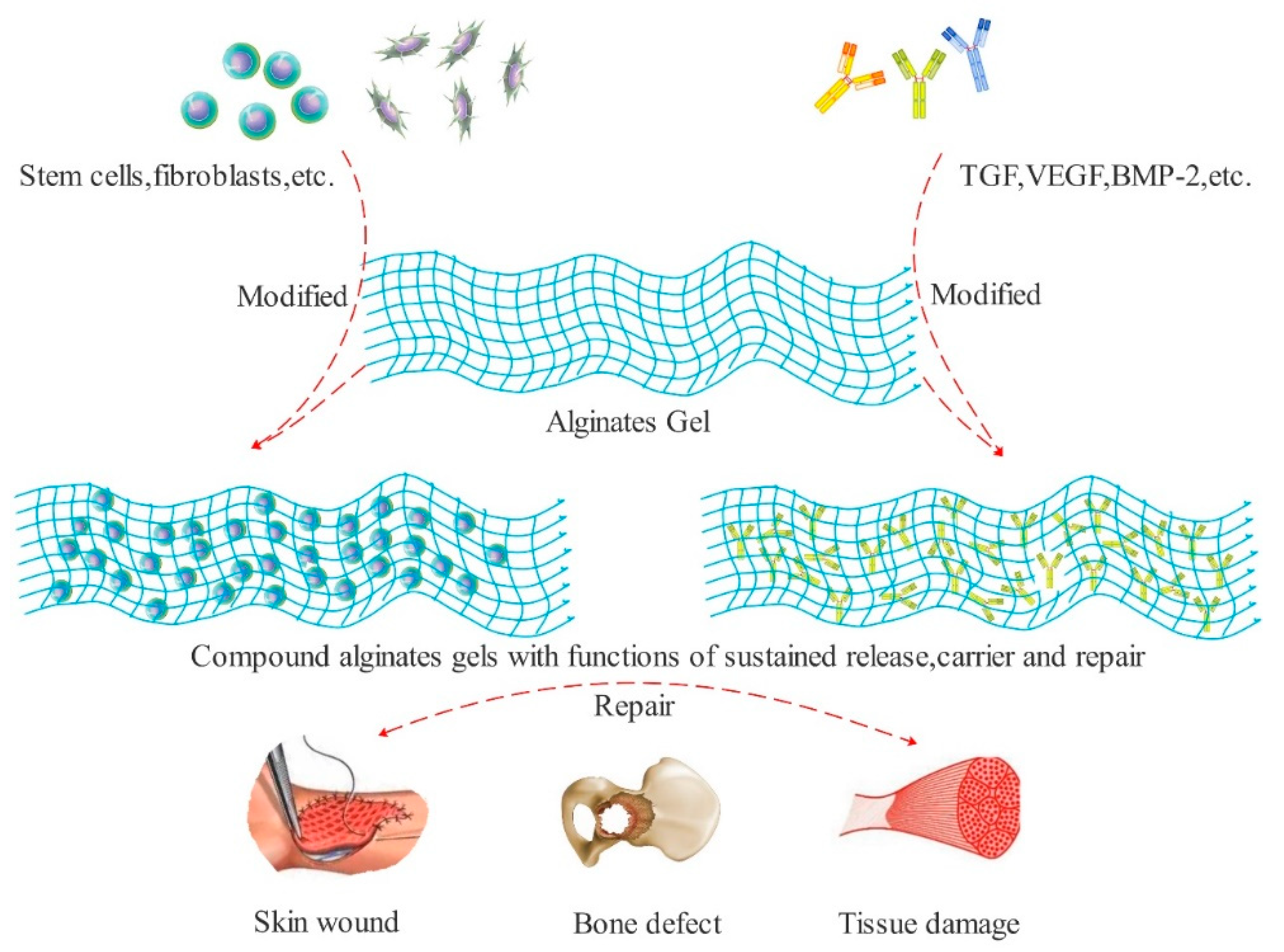 Polymers 13 02482 g003 550