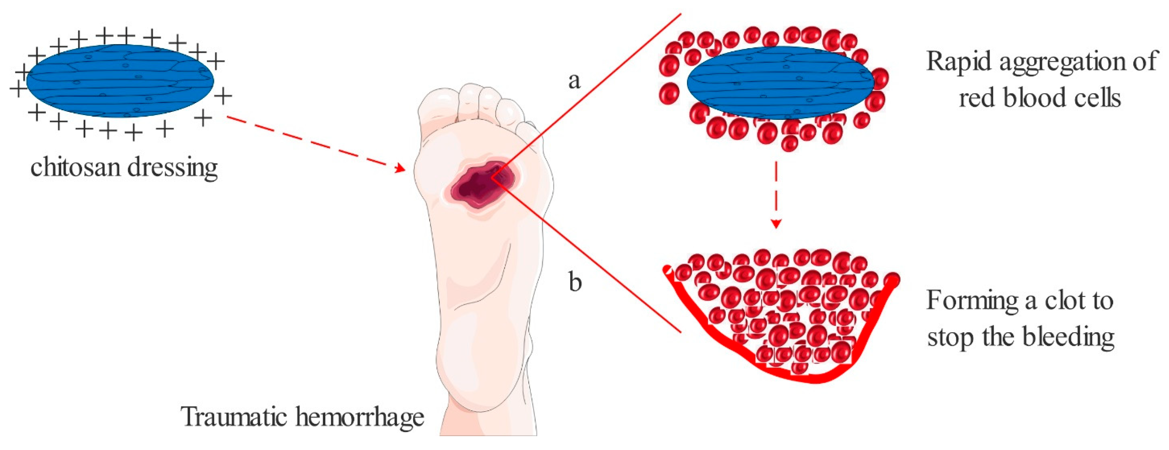 Polymers 13 02482 g005 550