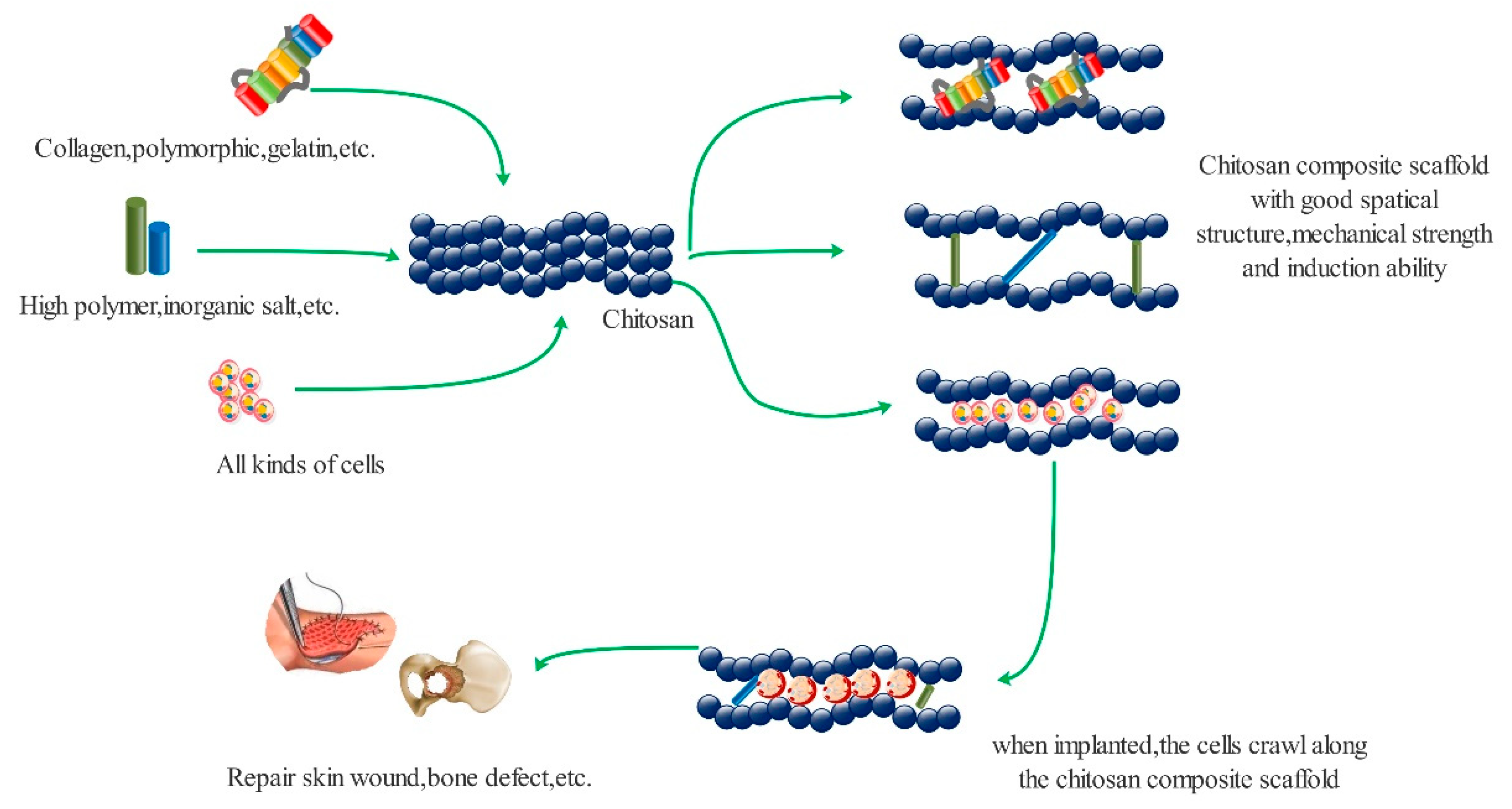 Polymers 13 02482 g006 550