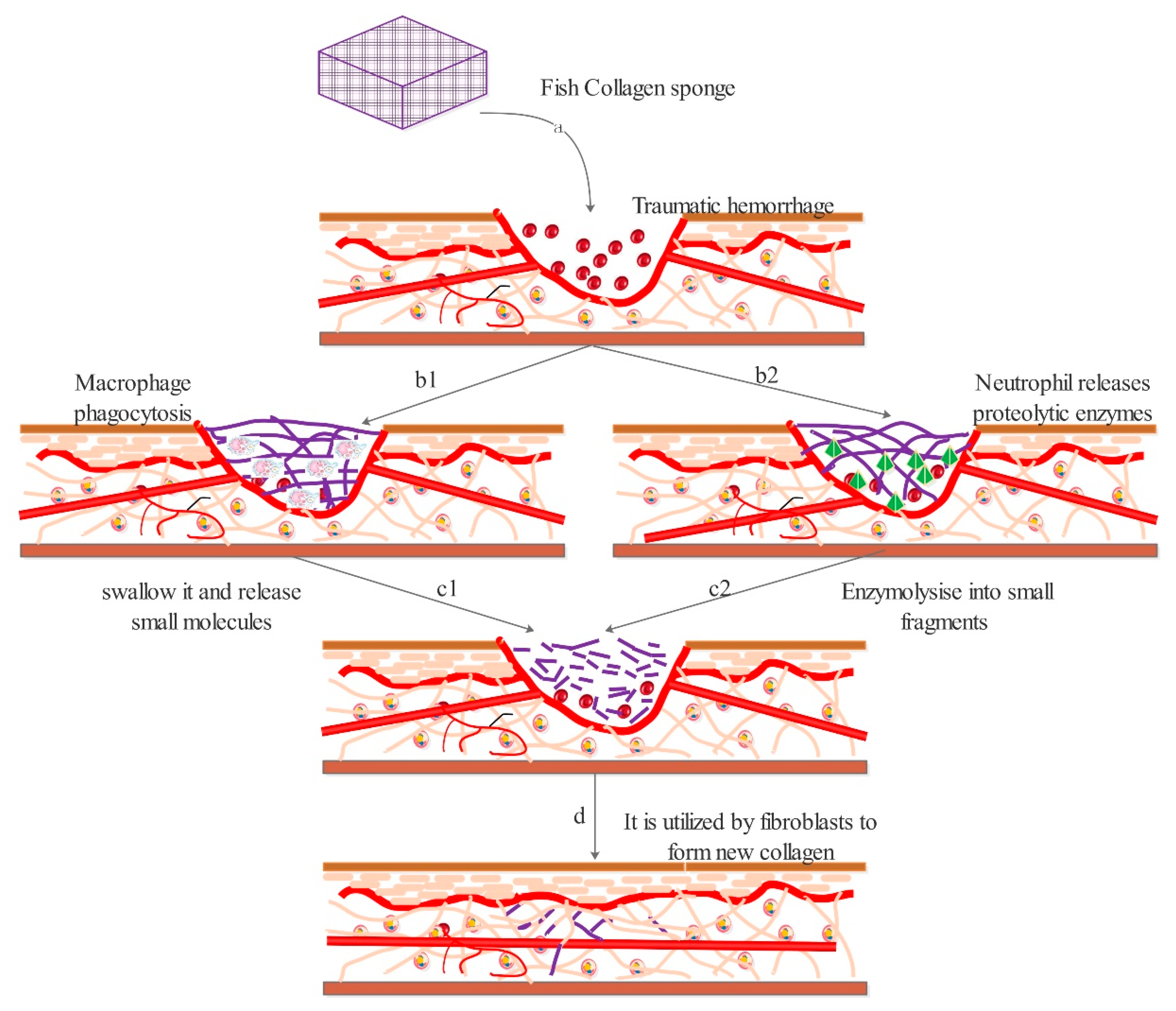 Polymers 13 02482 g008 550