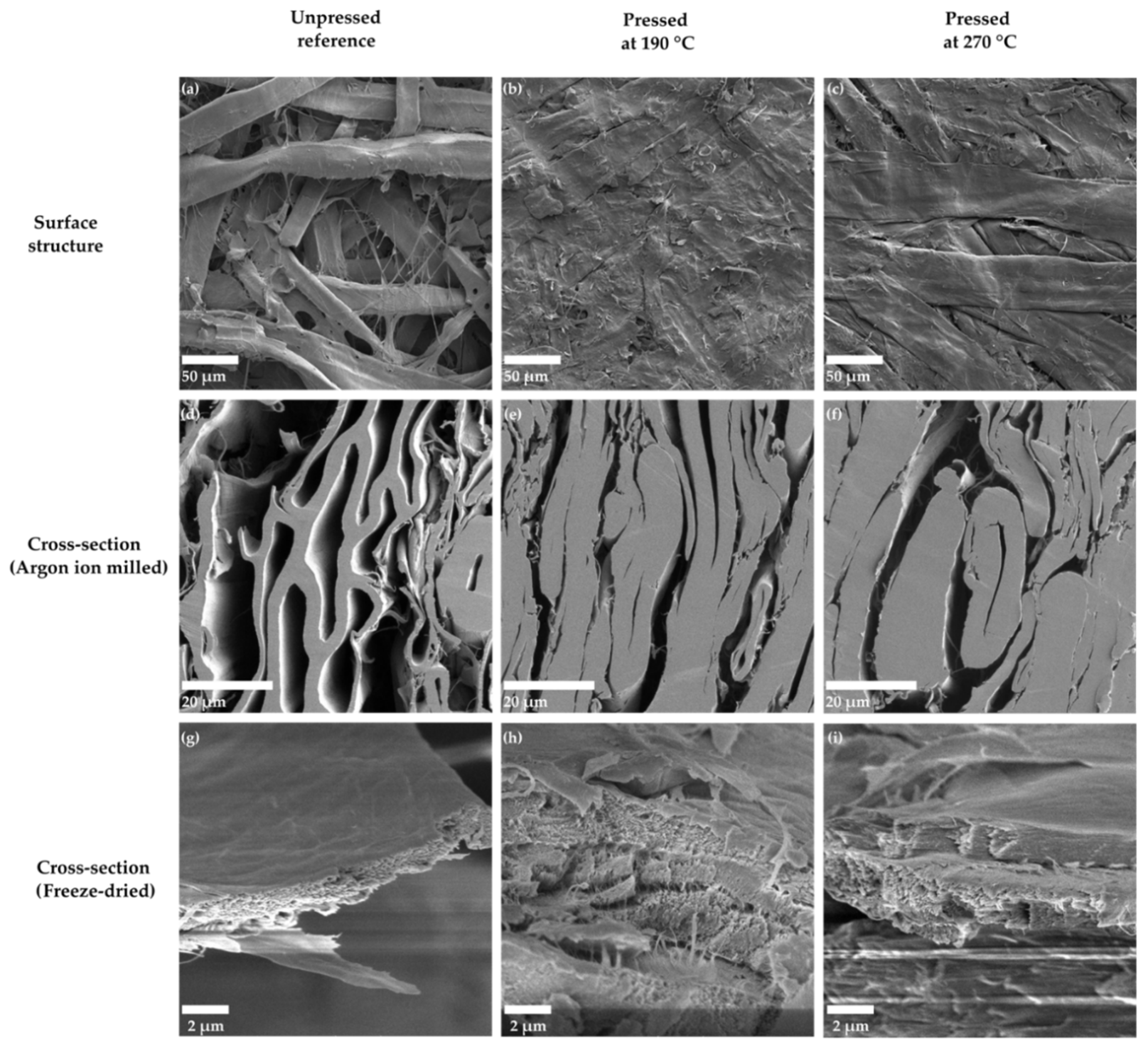 Polymers 13 02485 g005