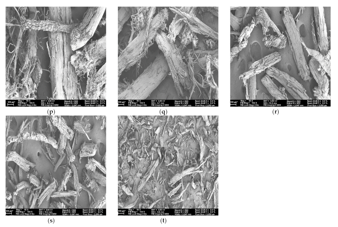 Polymers 13 02487 g0a1c 550
