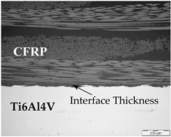 Polymers 13 02488 i001