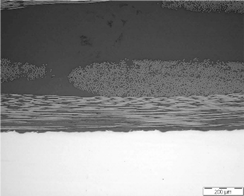 Polymers 13 02488 i002