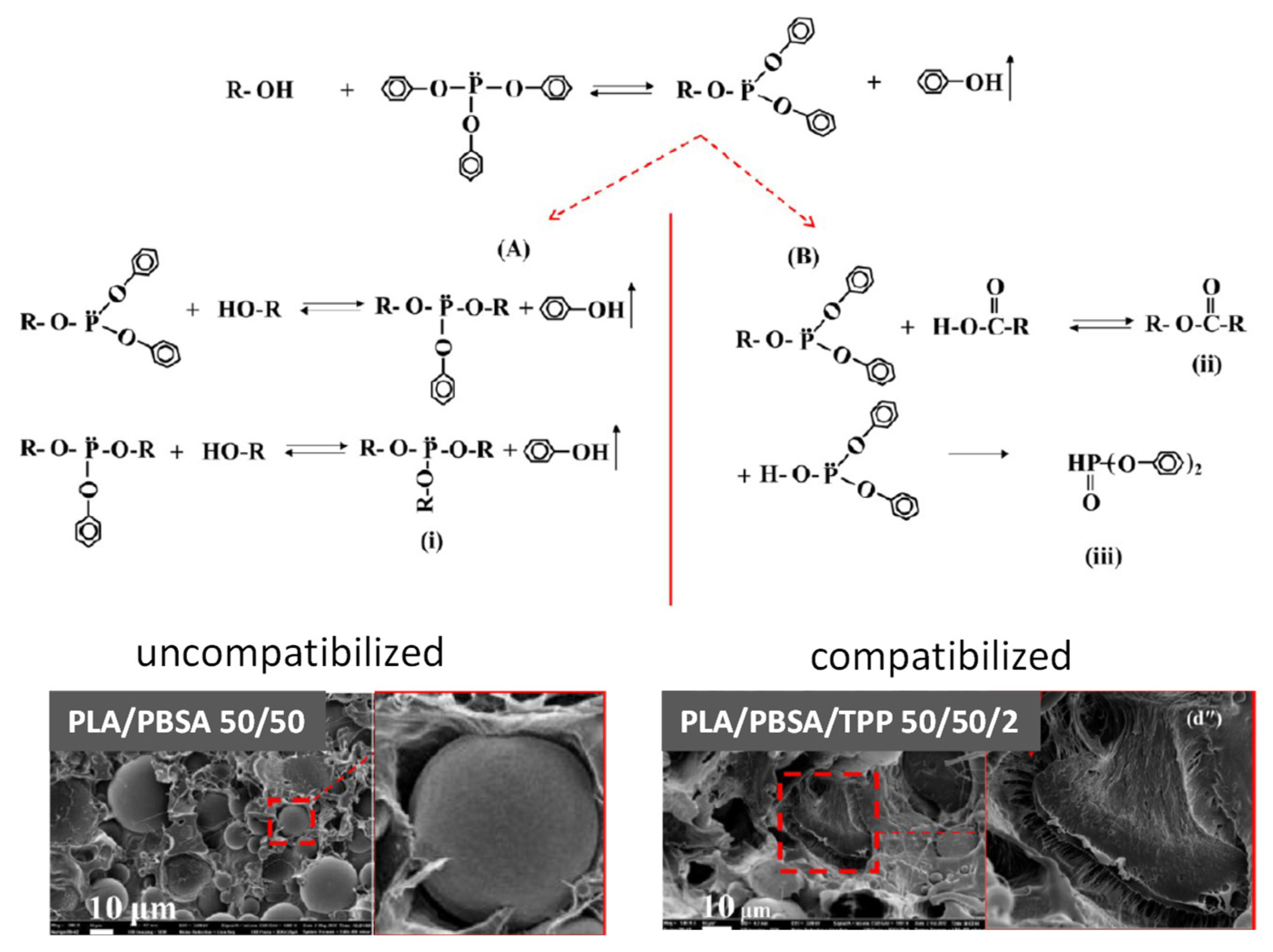 Polymers 13 02489 g006 Polymers 13 02489 g006