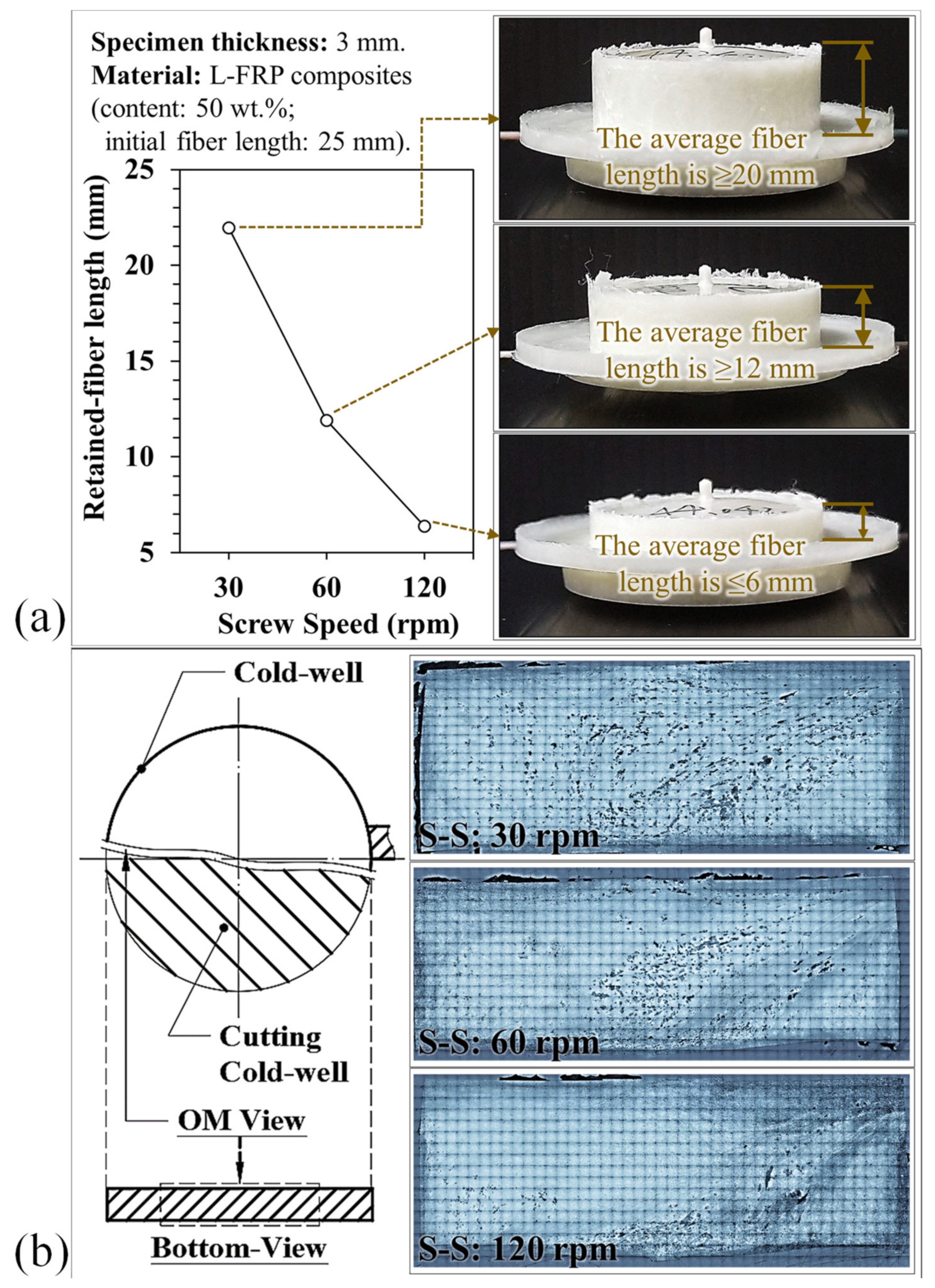 Polymers 13 02492 g005