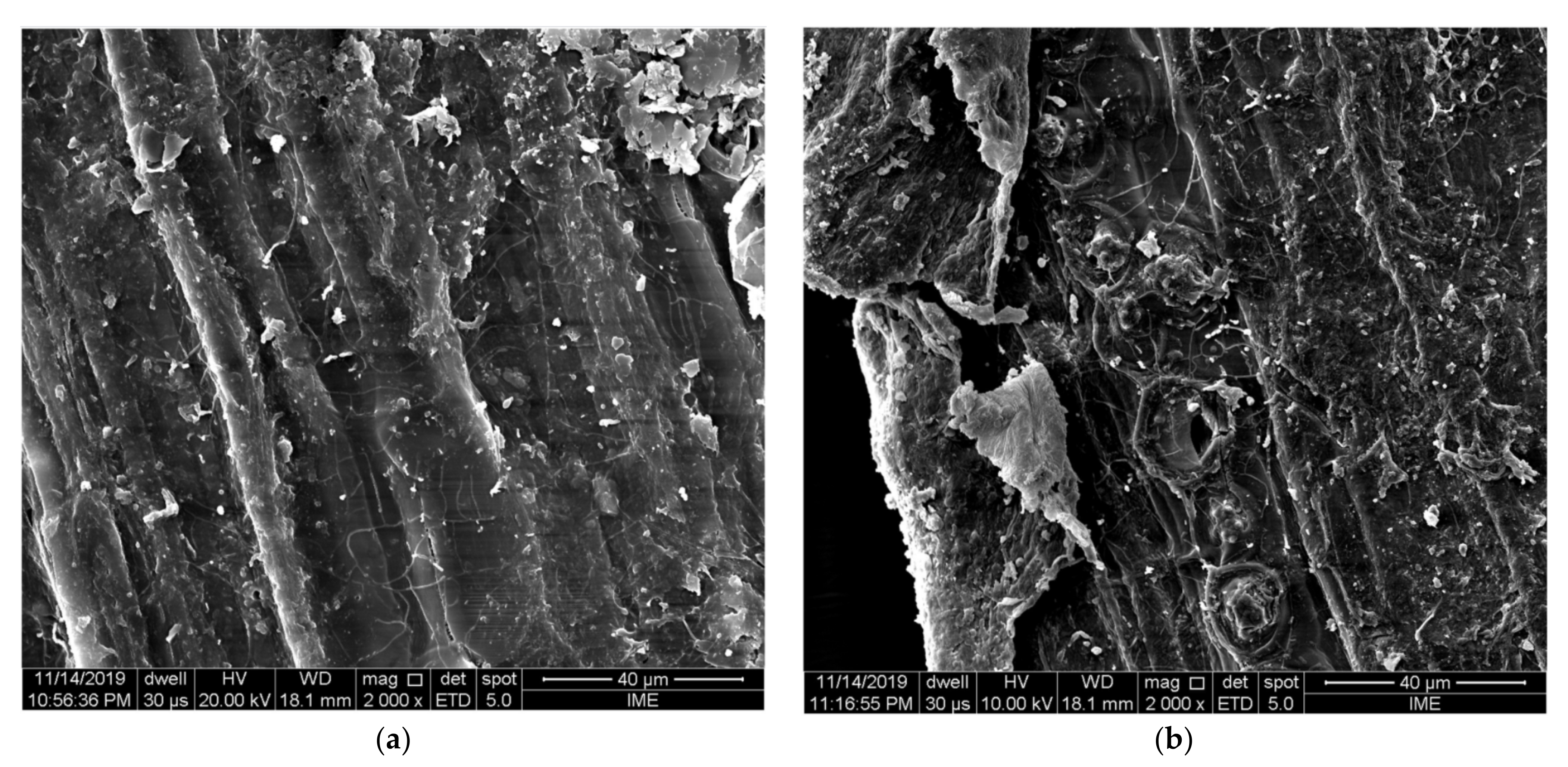 Polymers 13 02493 g003
