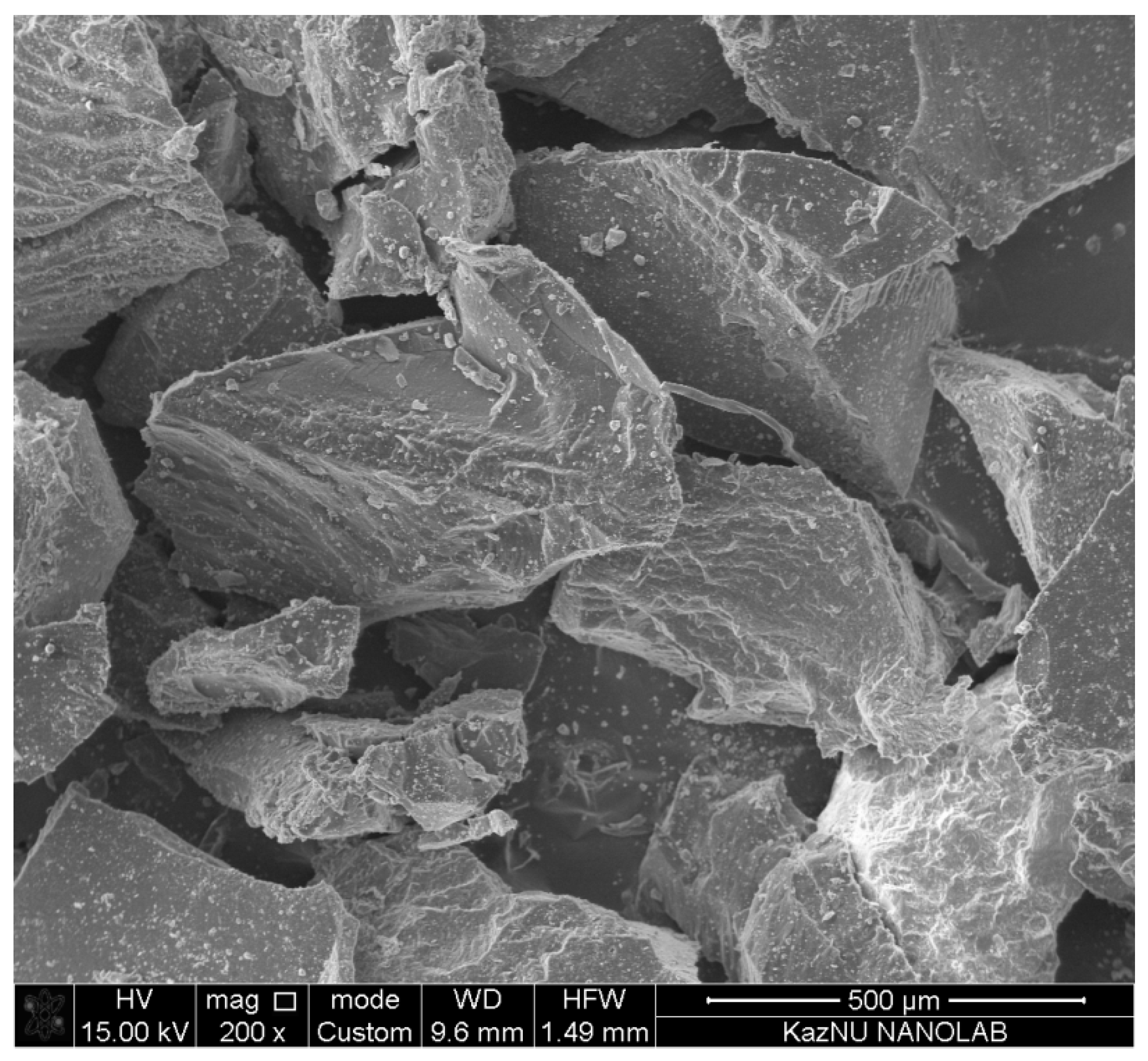 Polymers 13 02494 g009