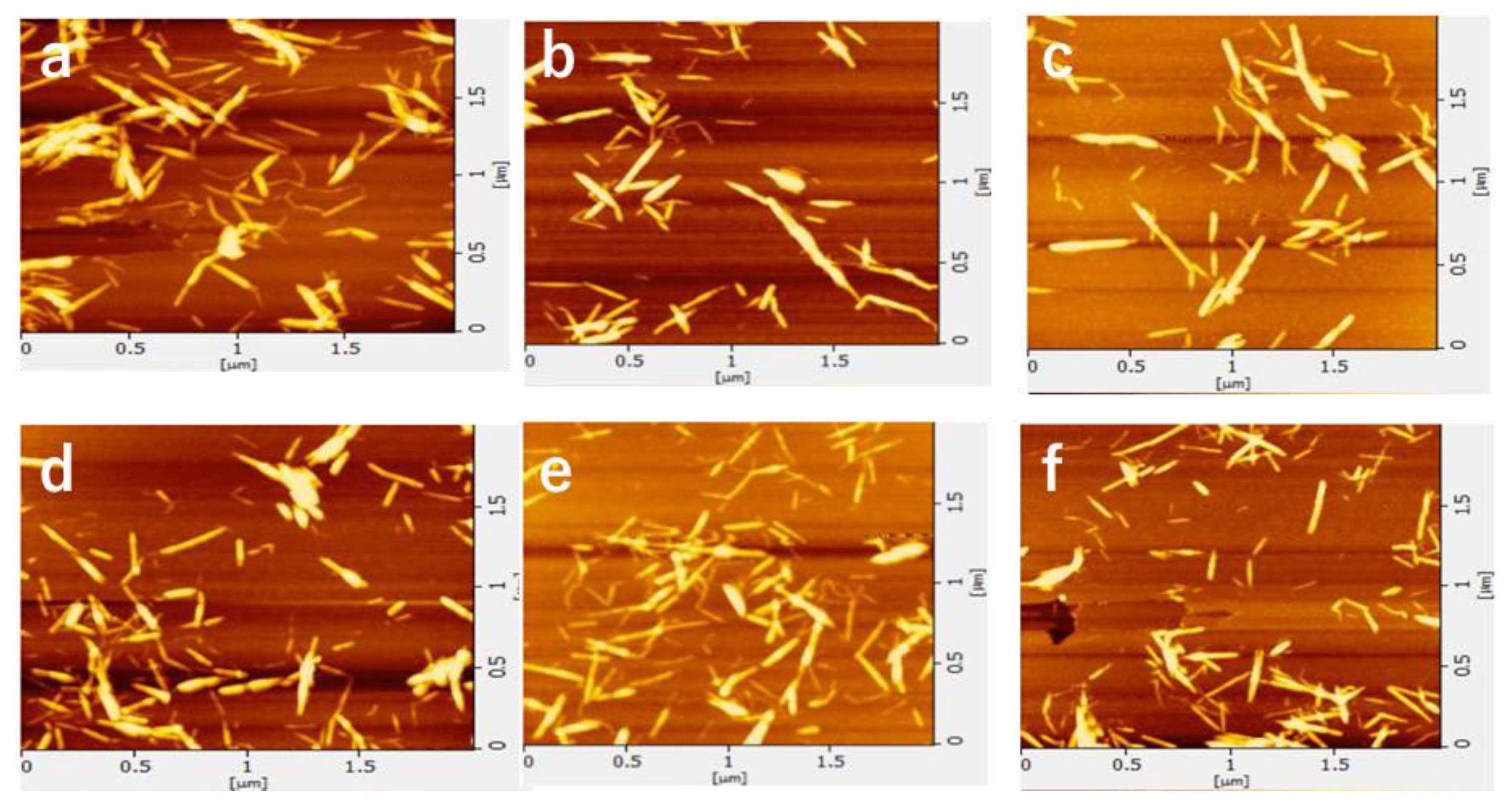 Polymers 13 02501 g003