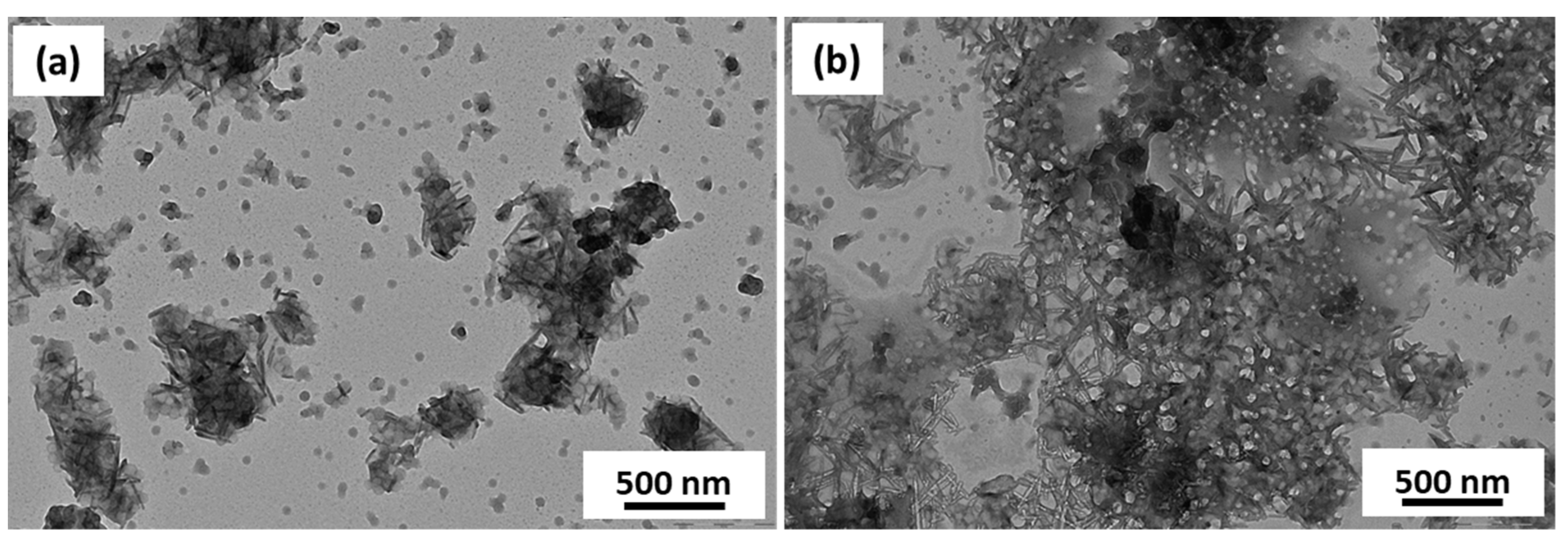 Polymers 13 02502 g006 550