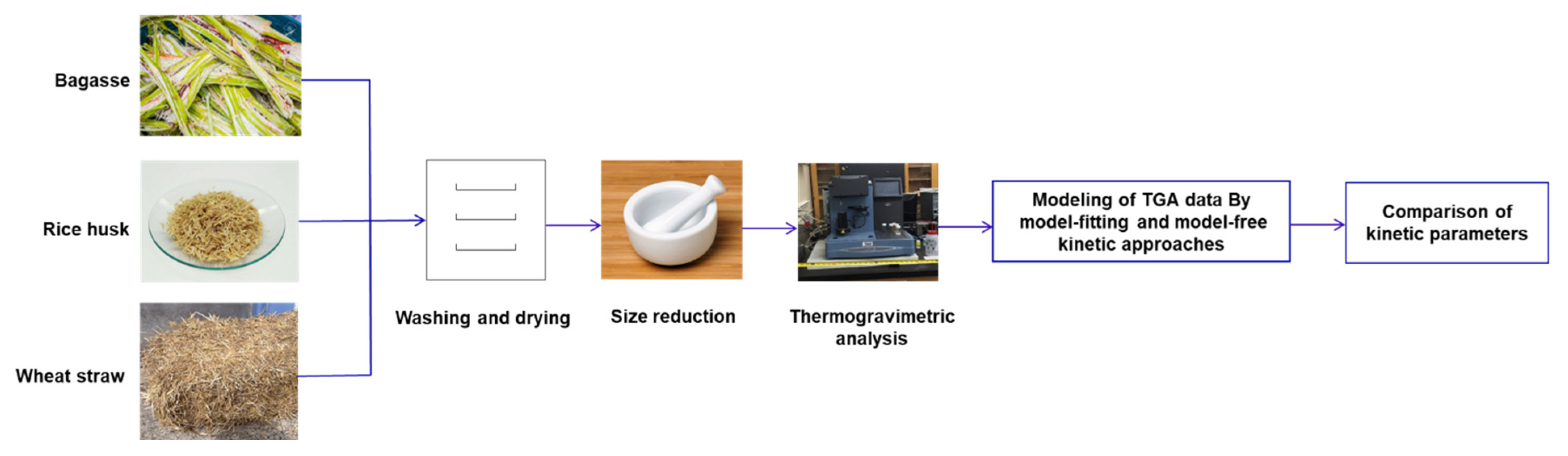 Polymers 13 02504 g001