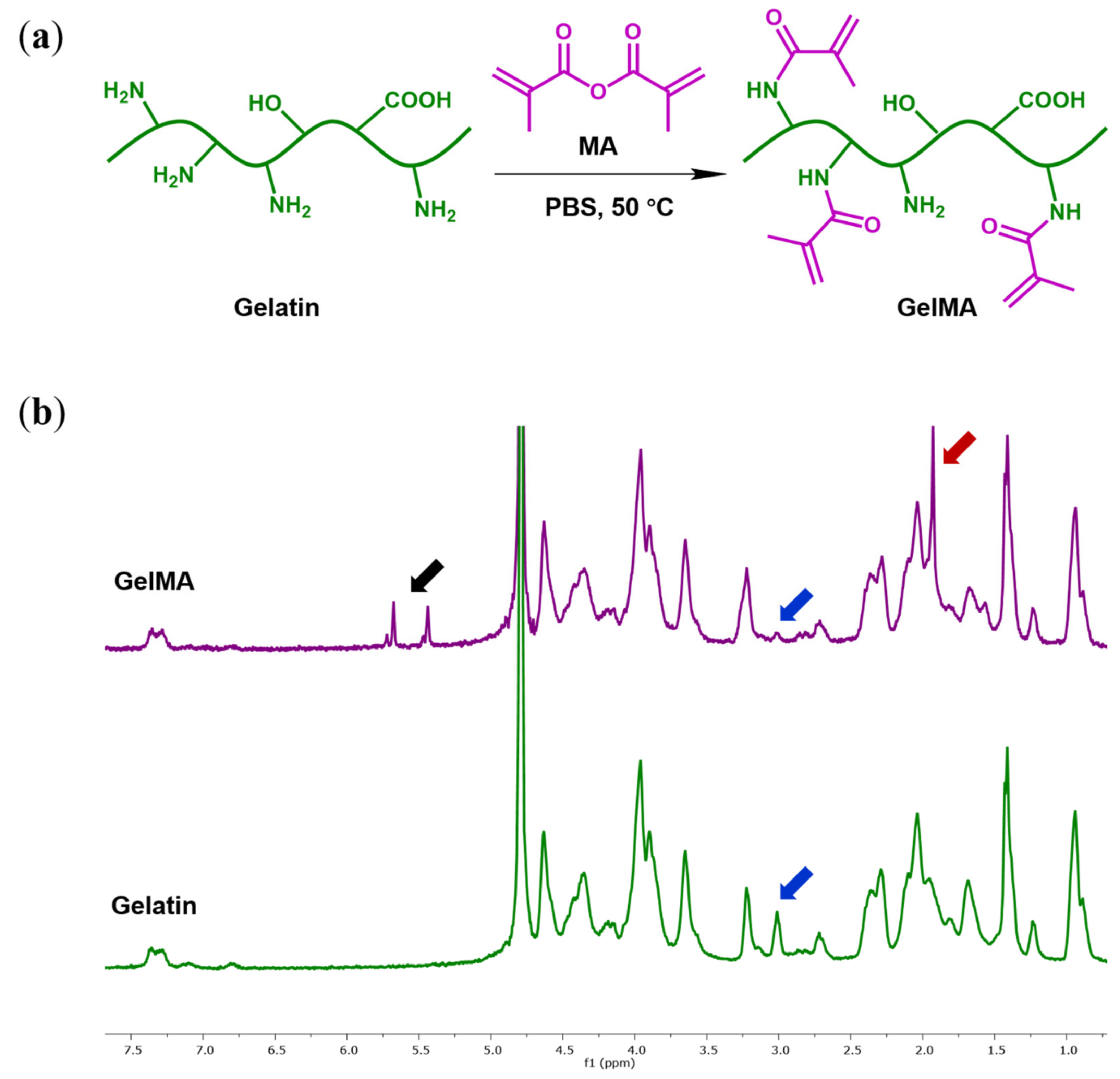 Polymers 13 02508 g001