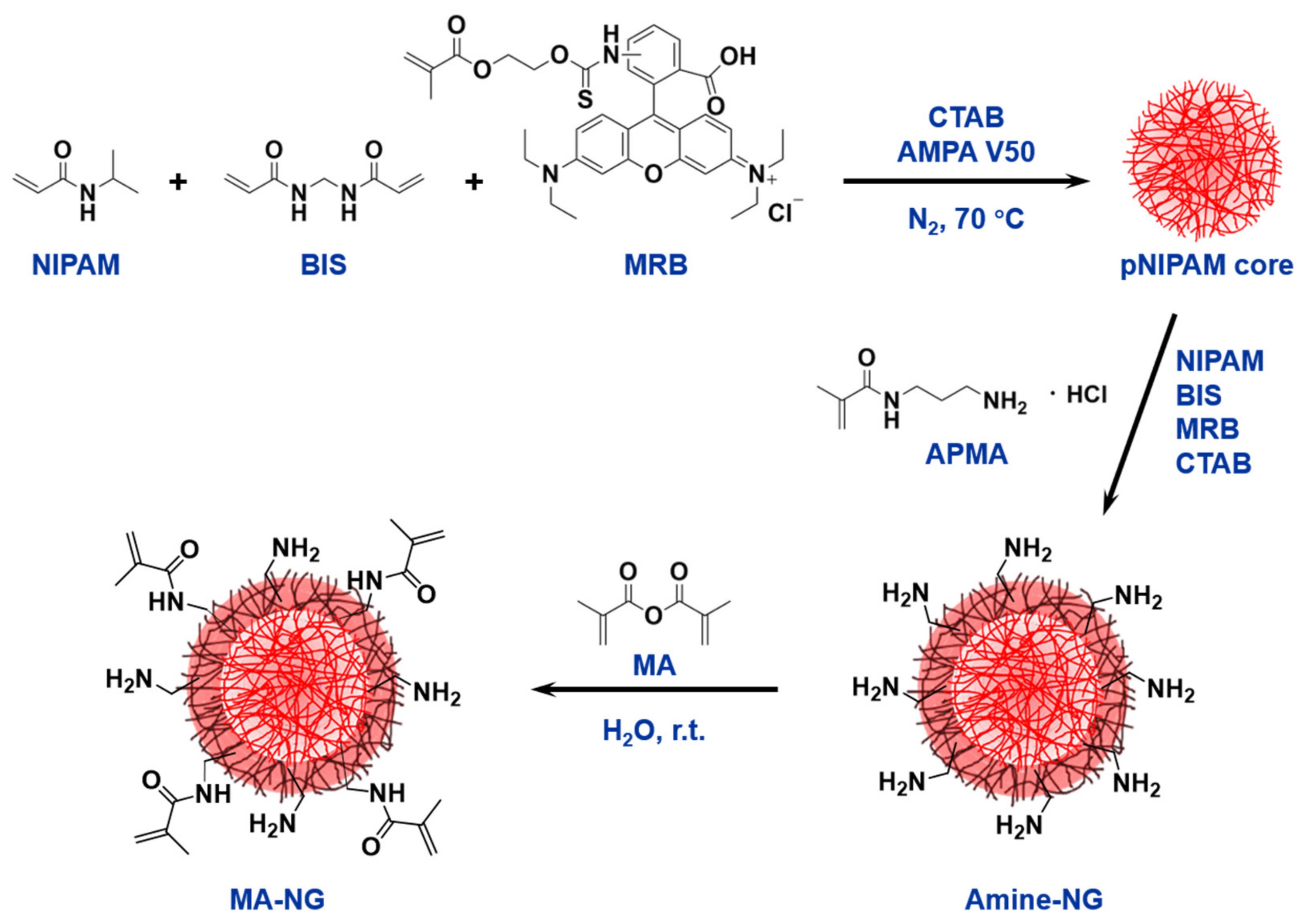 Polymers 13 02508 g002