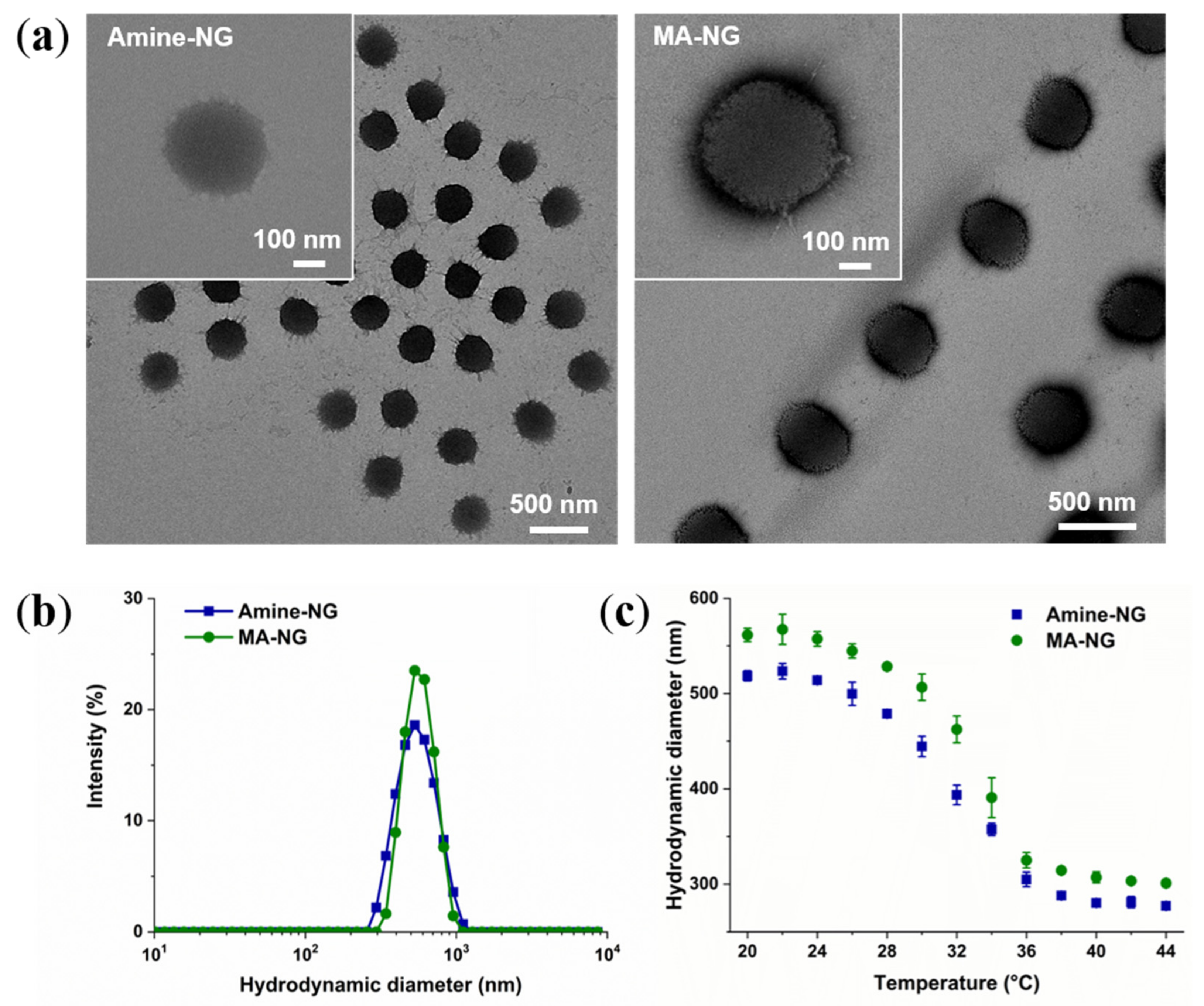 Polymers 13 02508 g004
