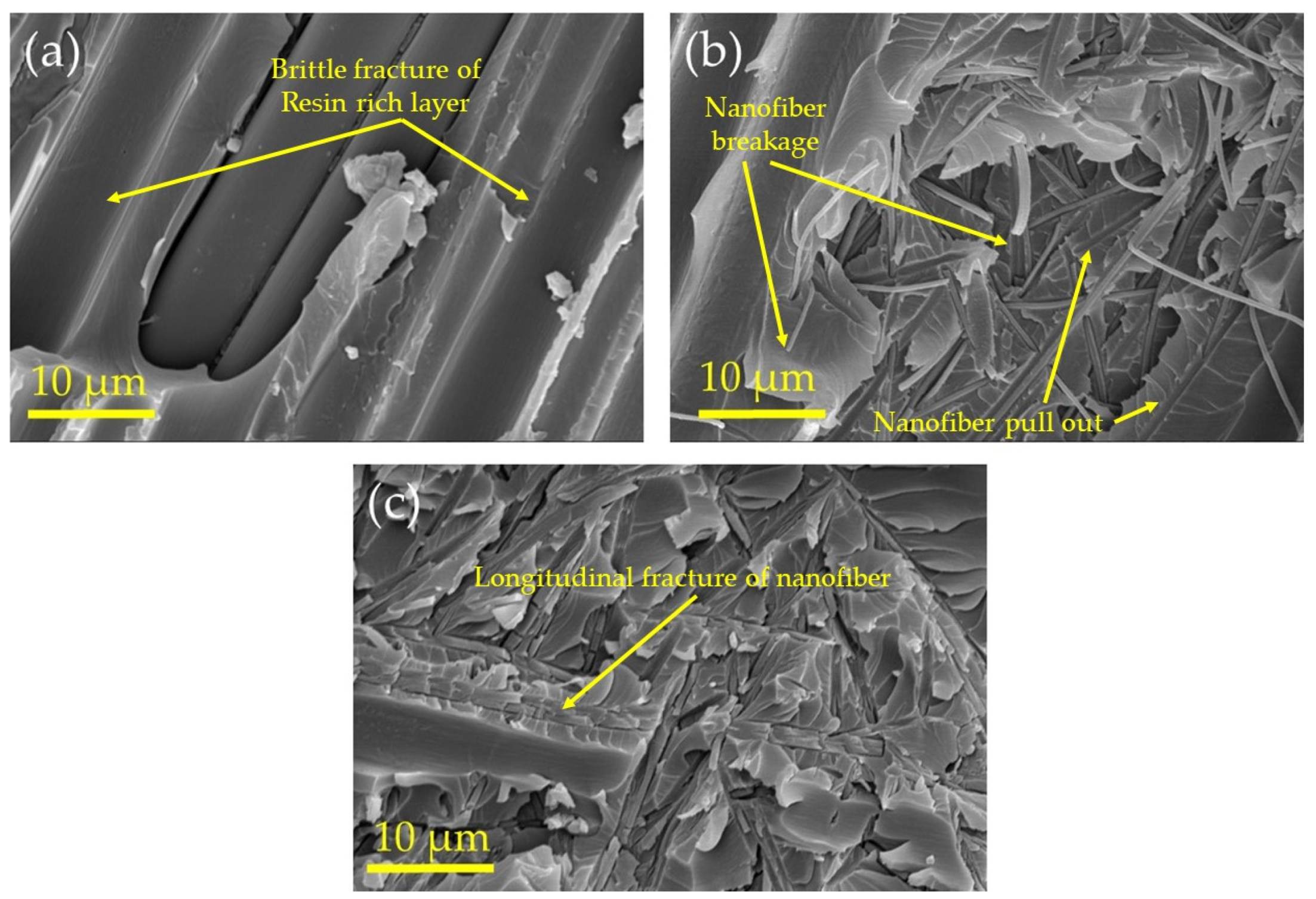 Polymers 13 02509 g005
