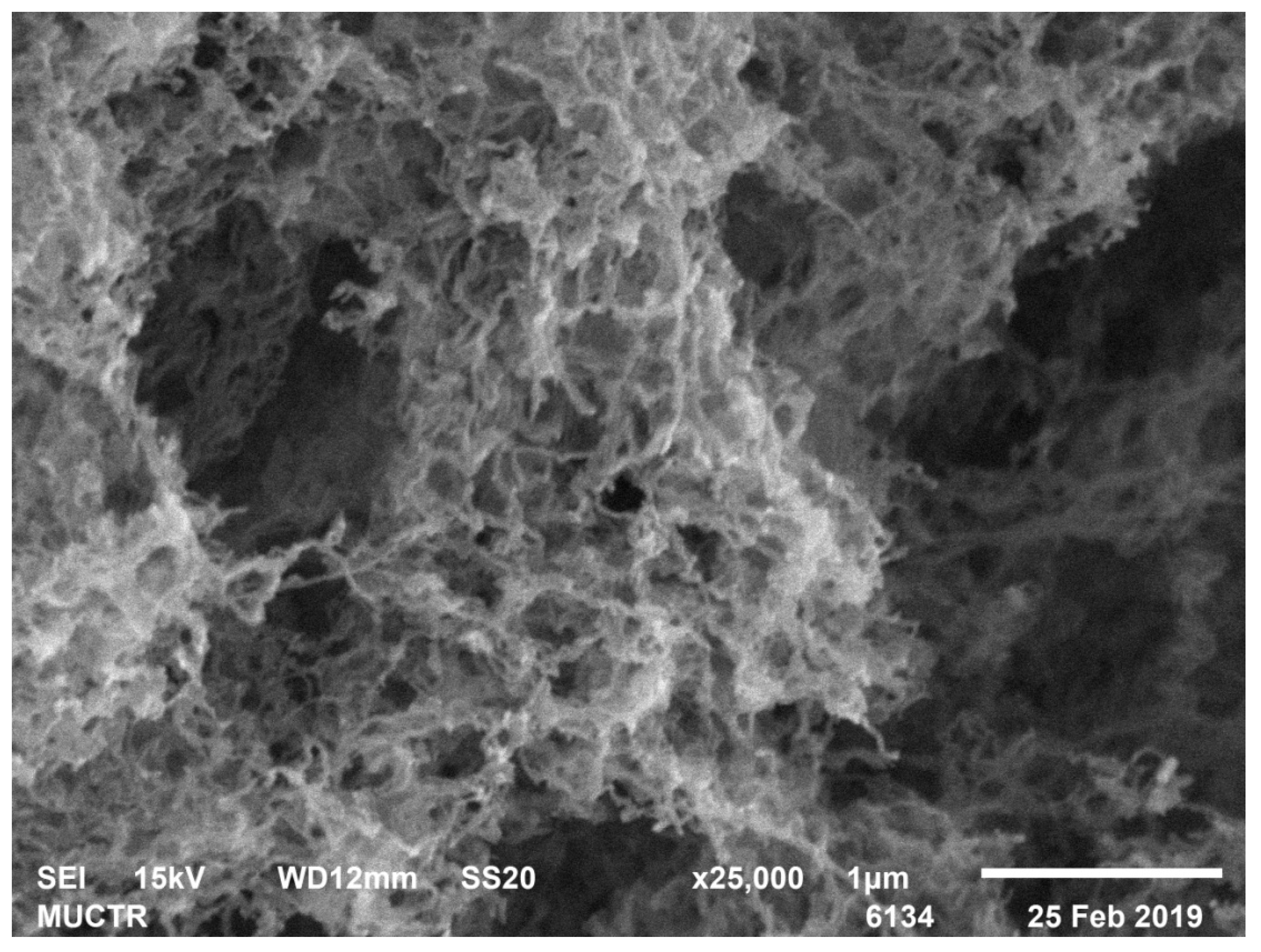 Polymers 13 02511 g004 550
