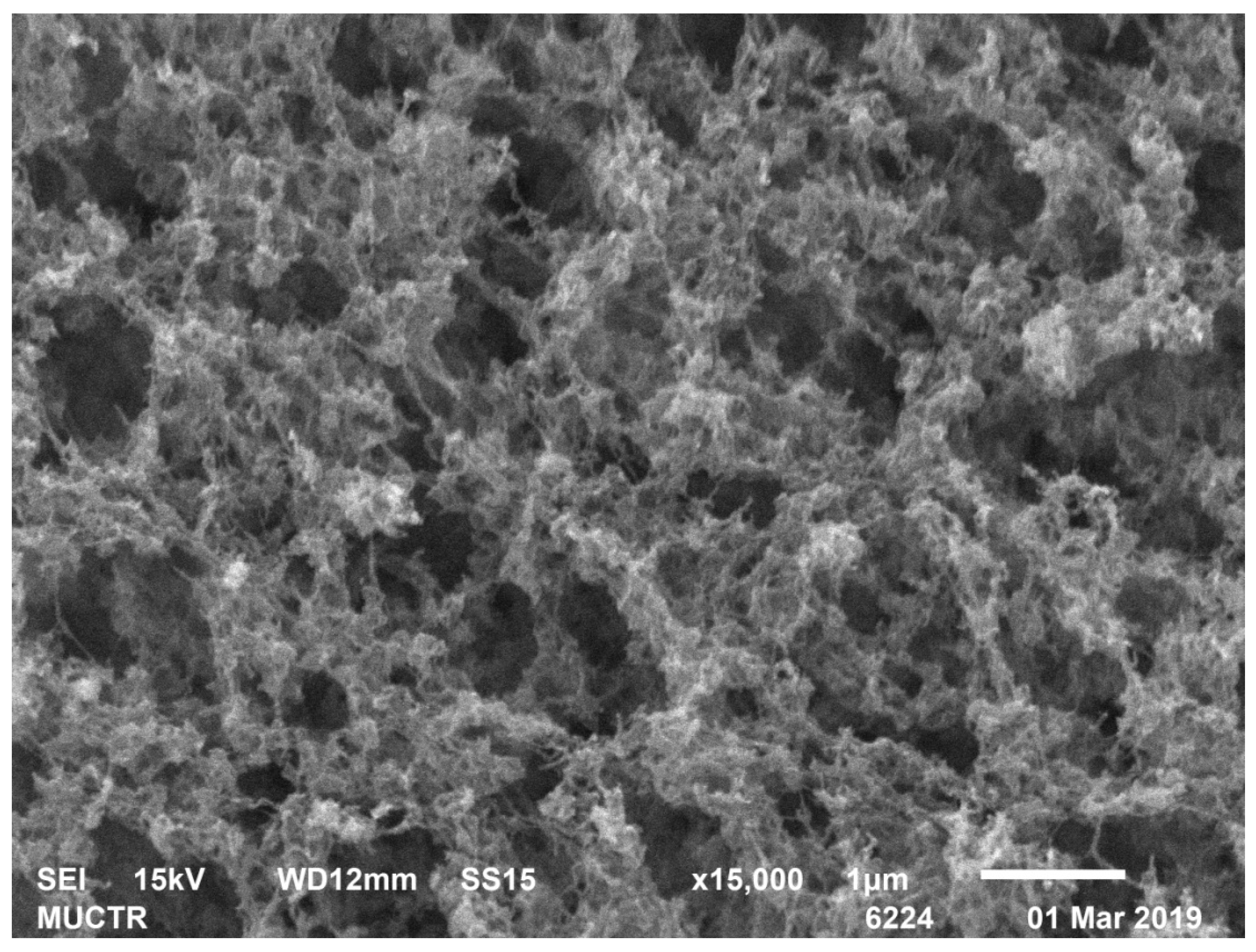 Polymers 13 02511 g008 550