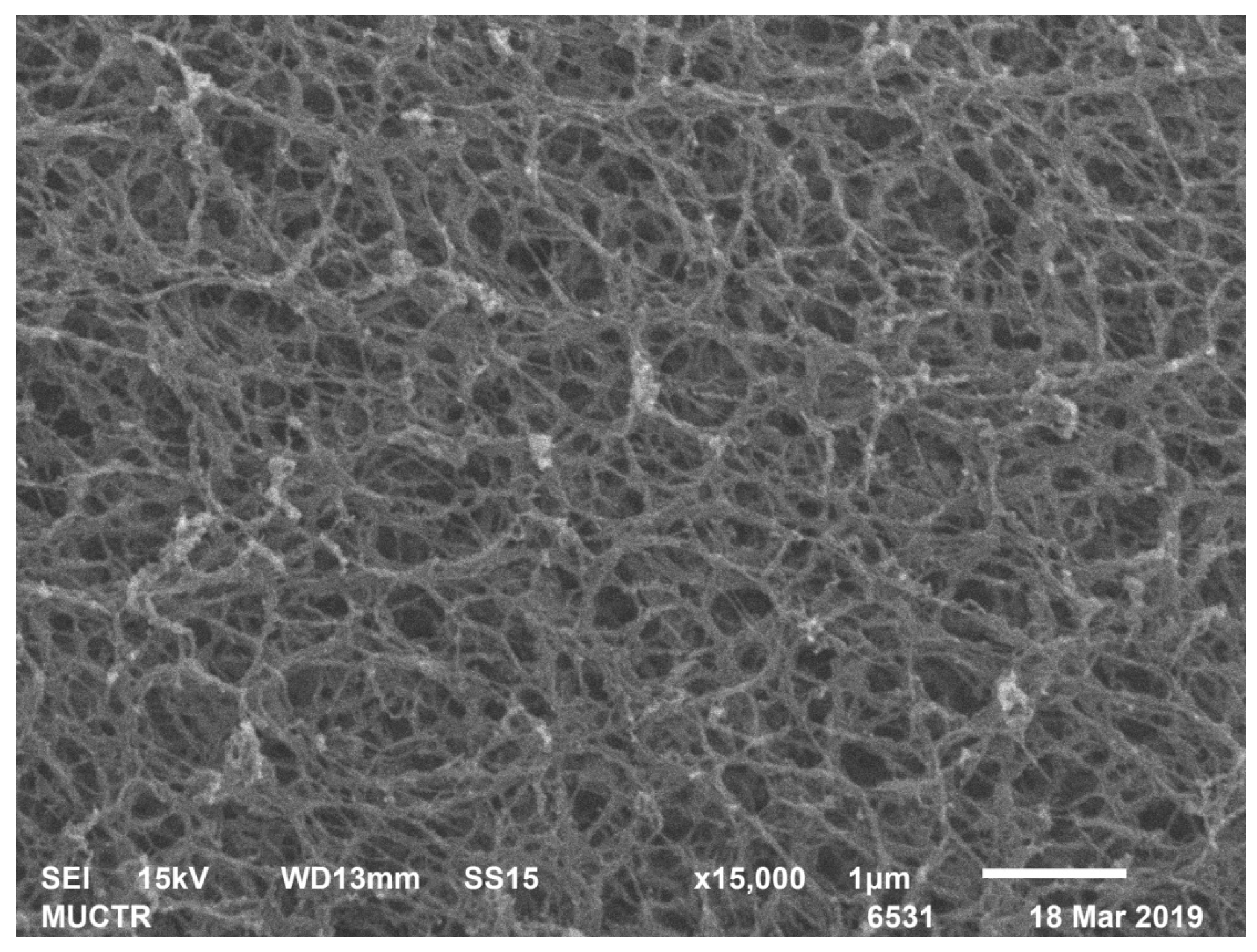 Polymers 13 02511 g009 550