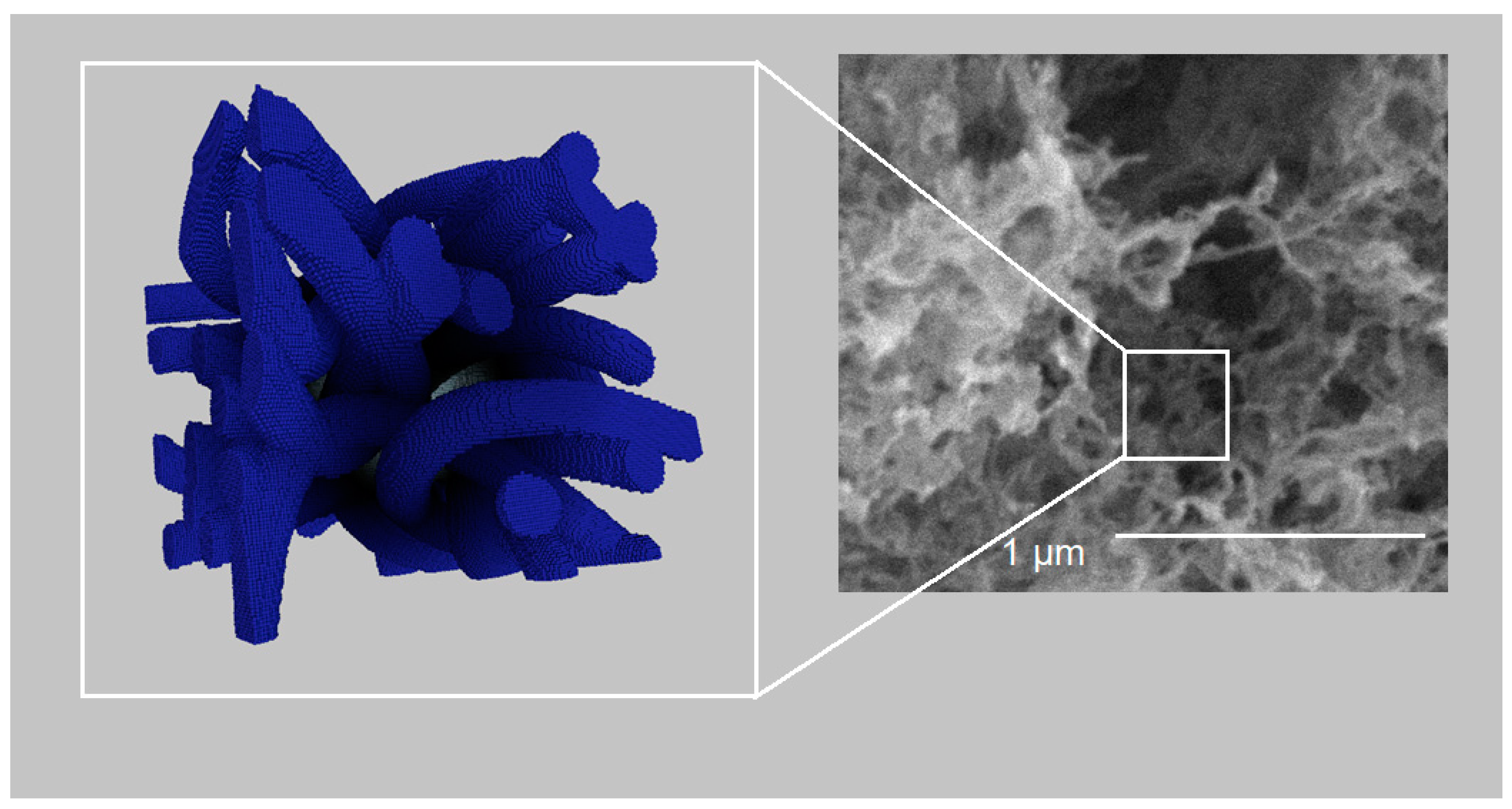 Polymers 13 02511 g017 550