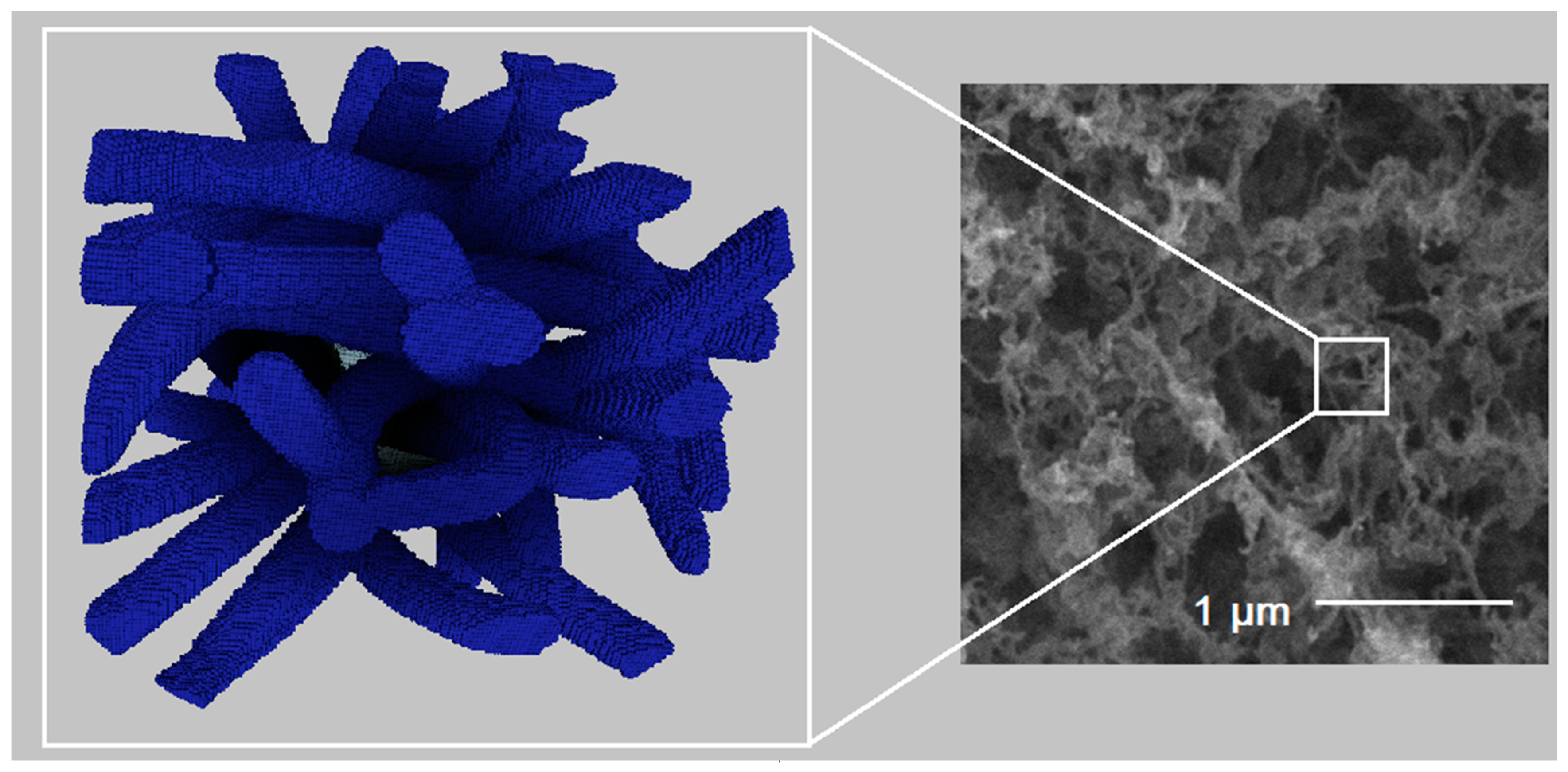 Polymers 13 02511 g018 550