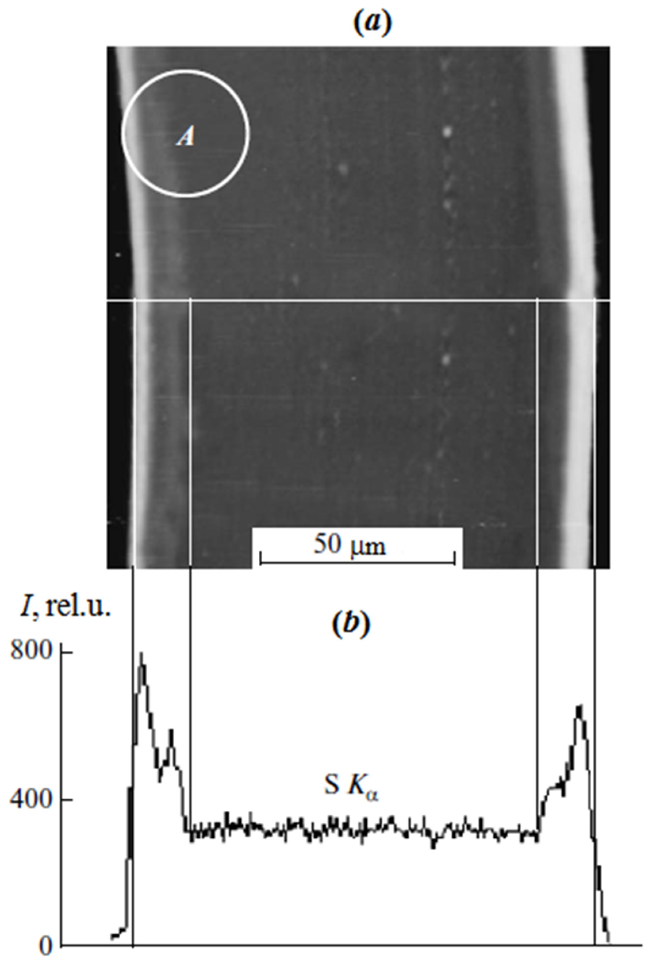 Polymers 13 02512 g001 550