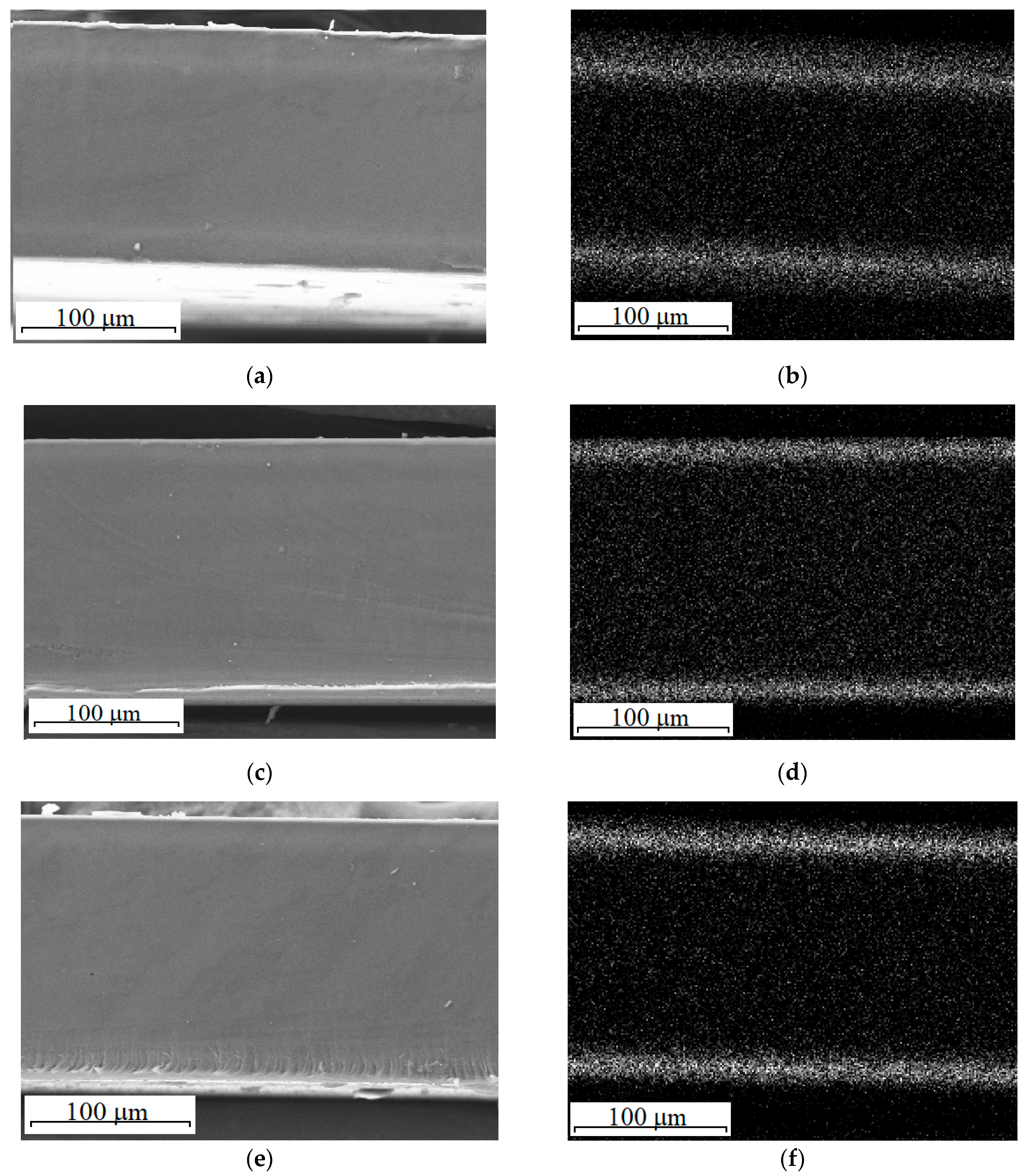 Polymers 13 02513 g002a