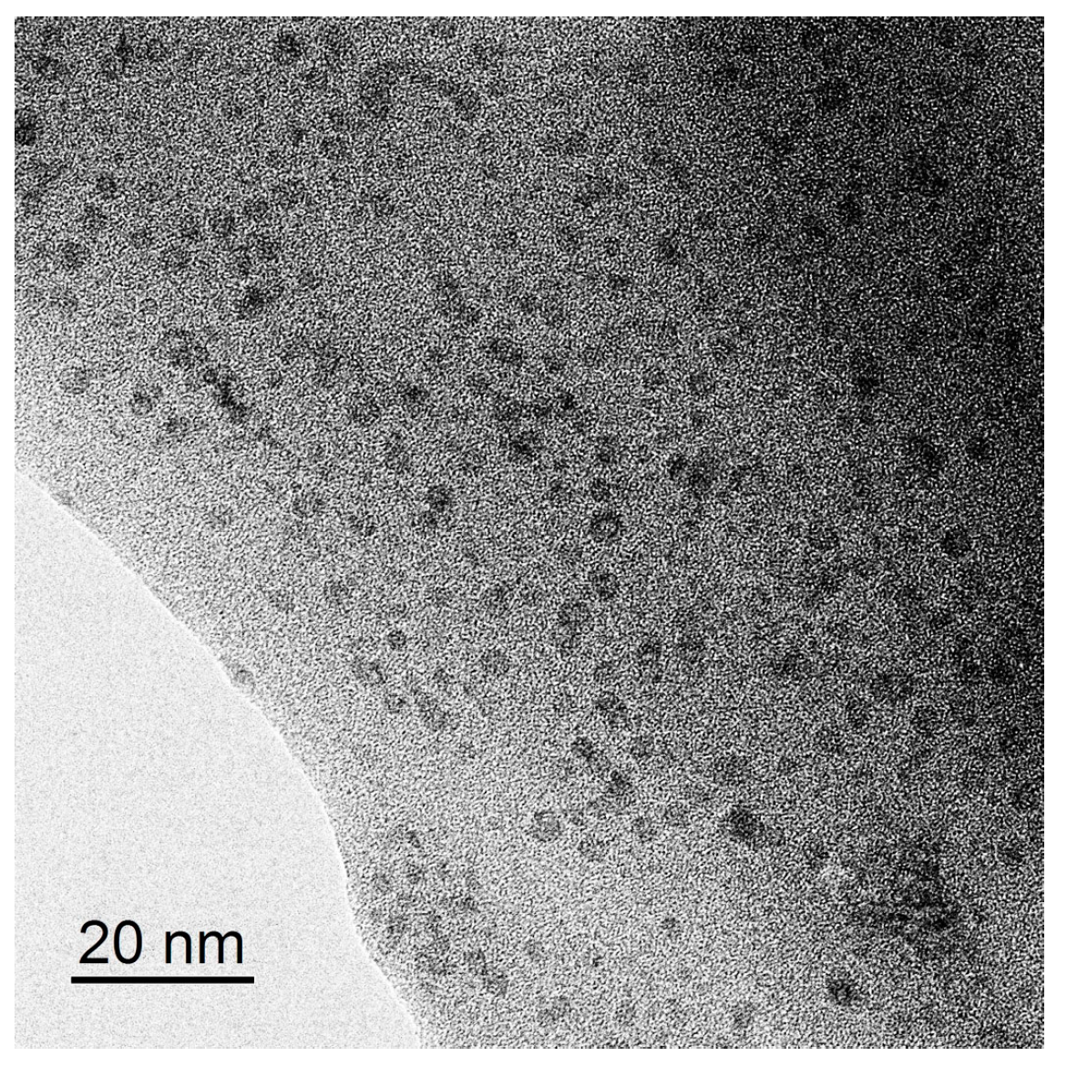 Polymers 13 02513 g003