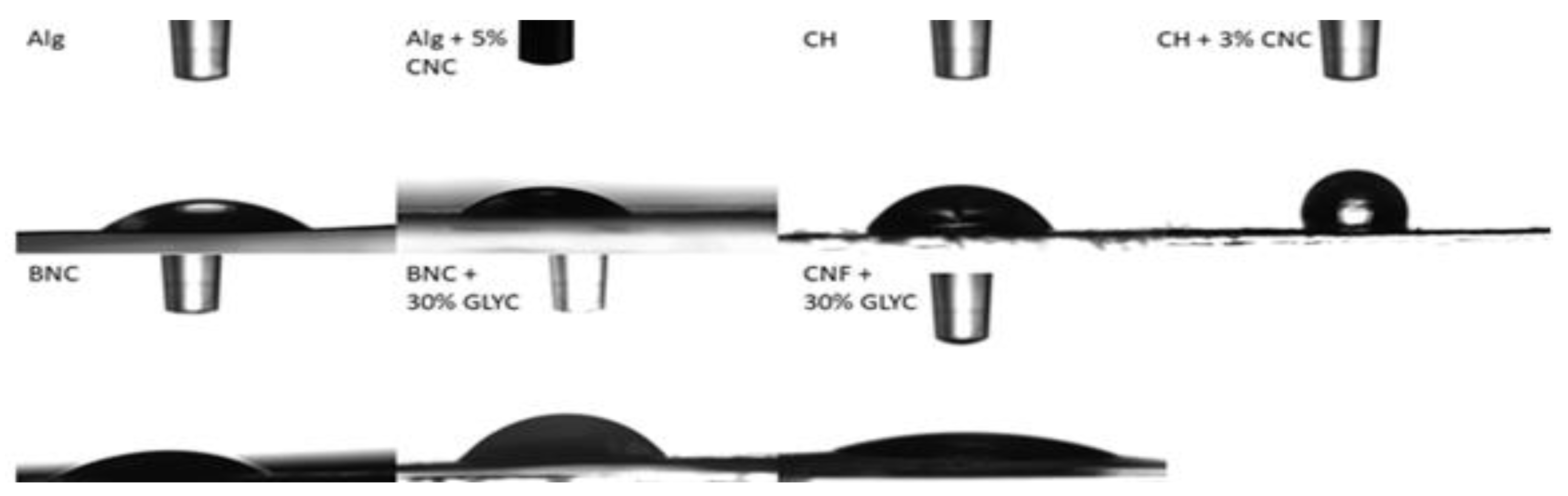 Polymers 13 02523 g002