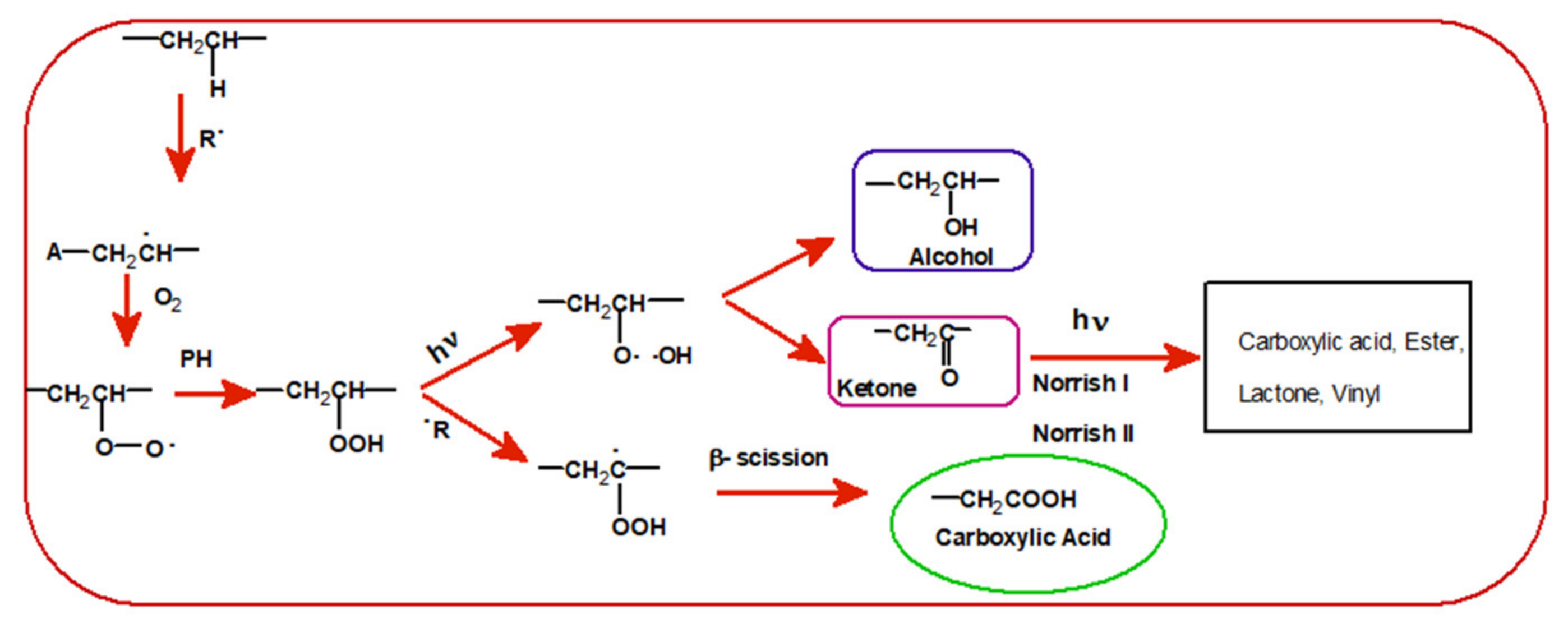 Polymers 13 02525 sch002