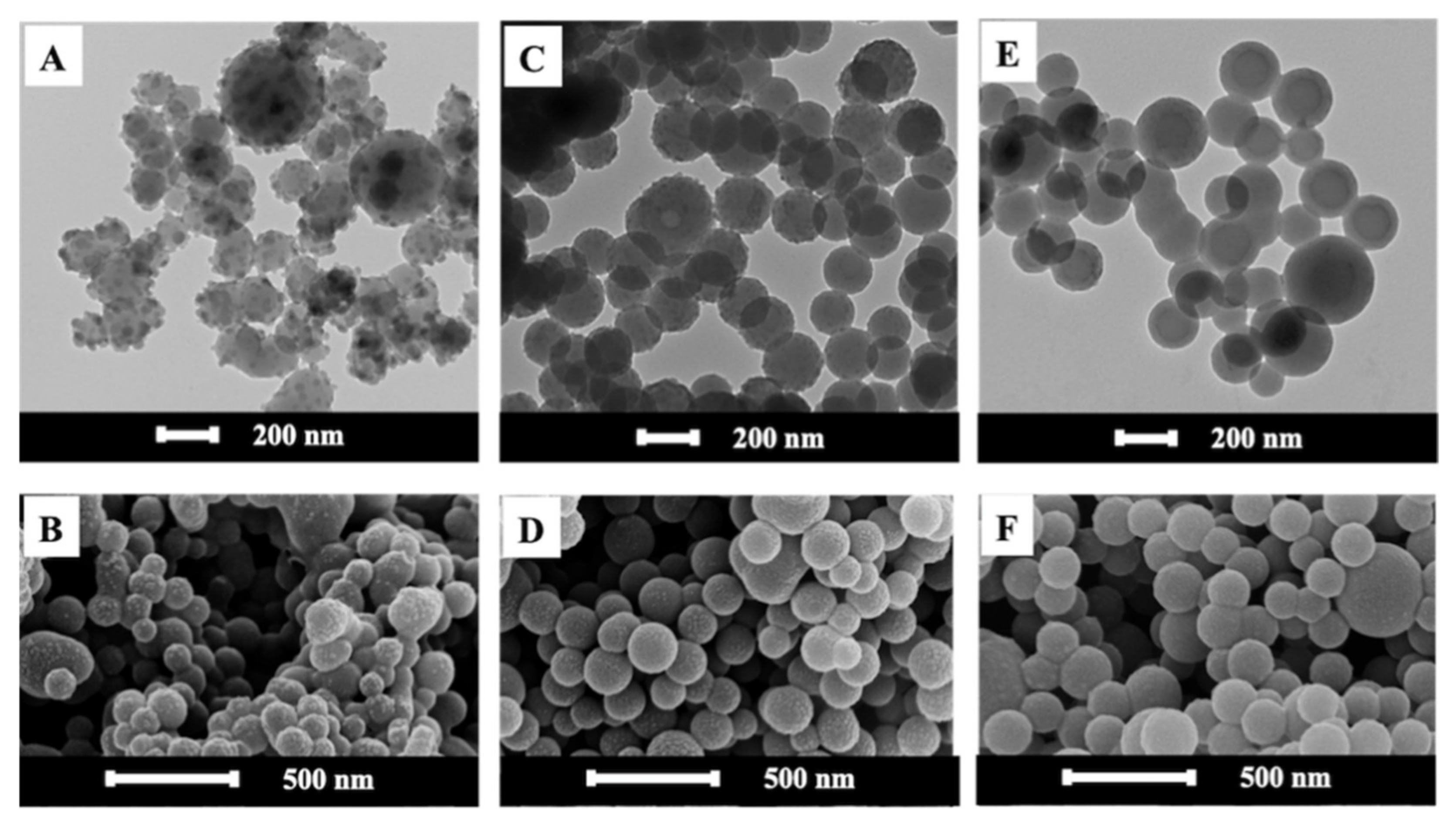Polymers 13 02526 g003