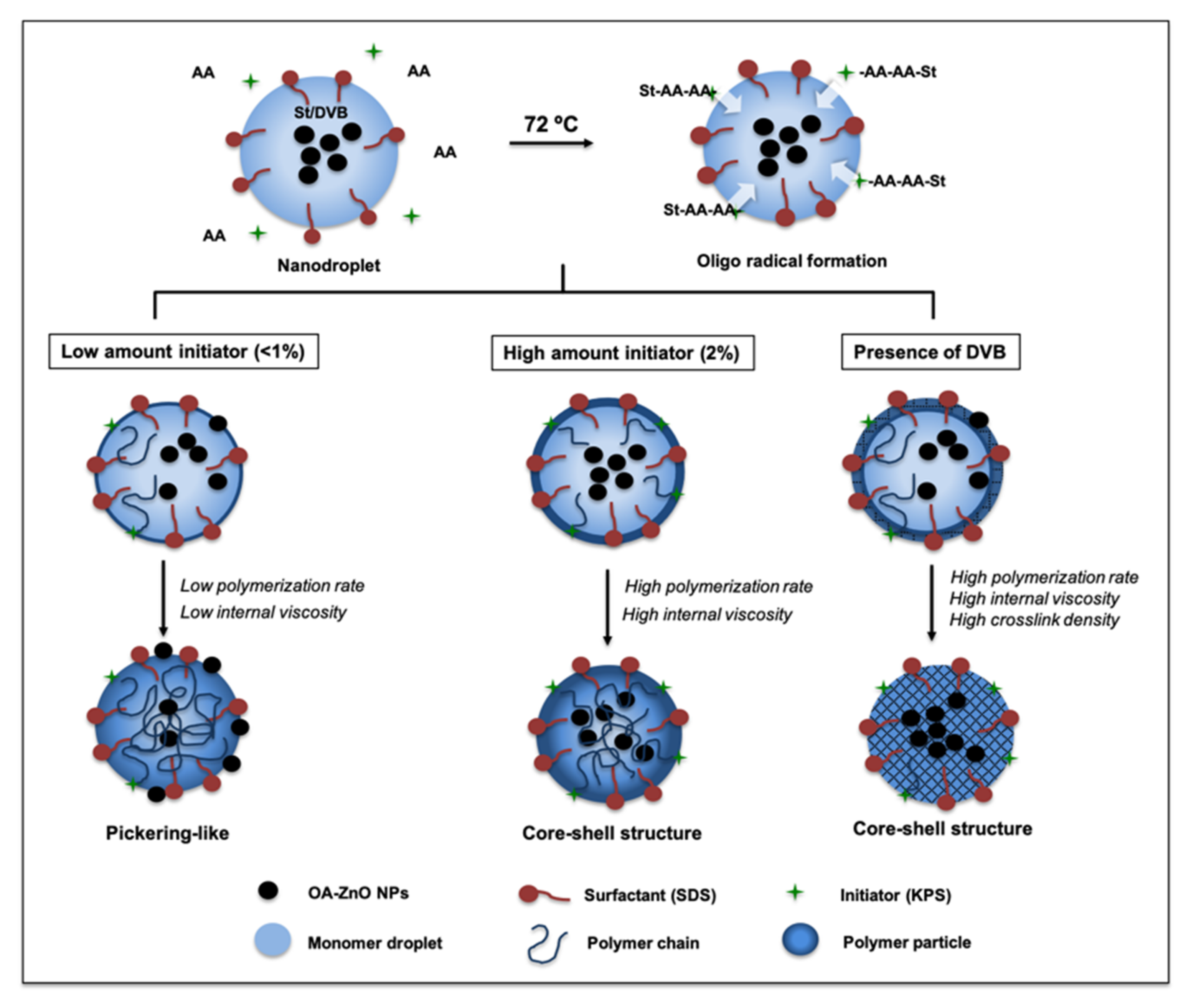 Polymers 13 02526 g005