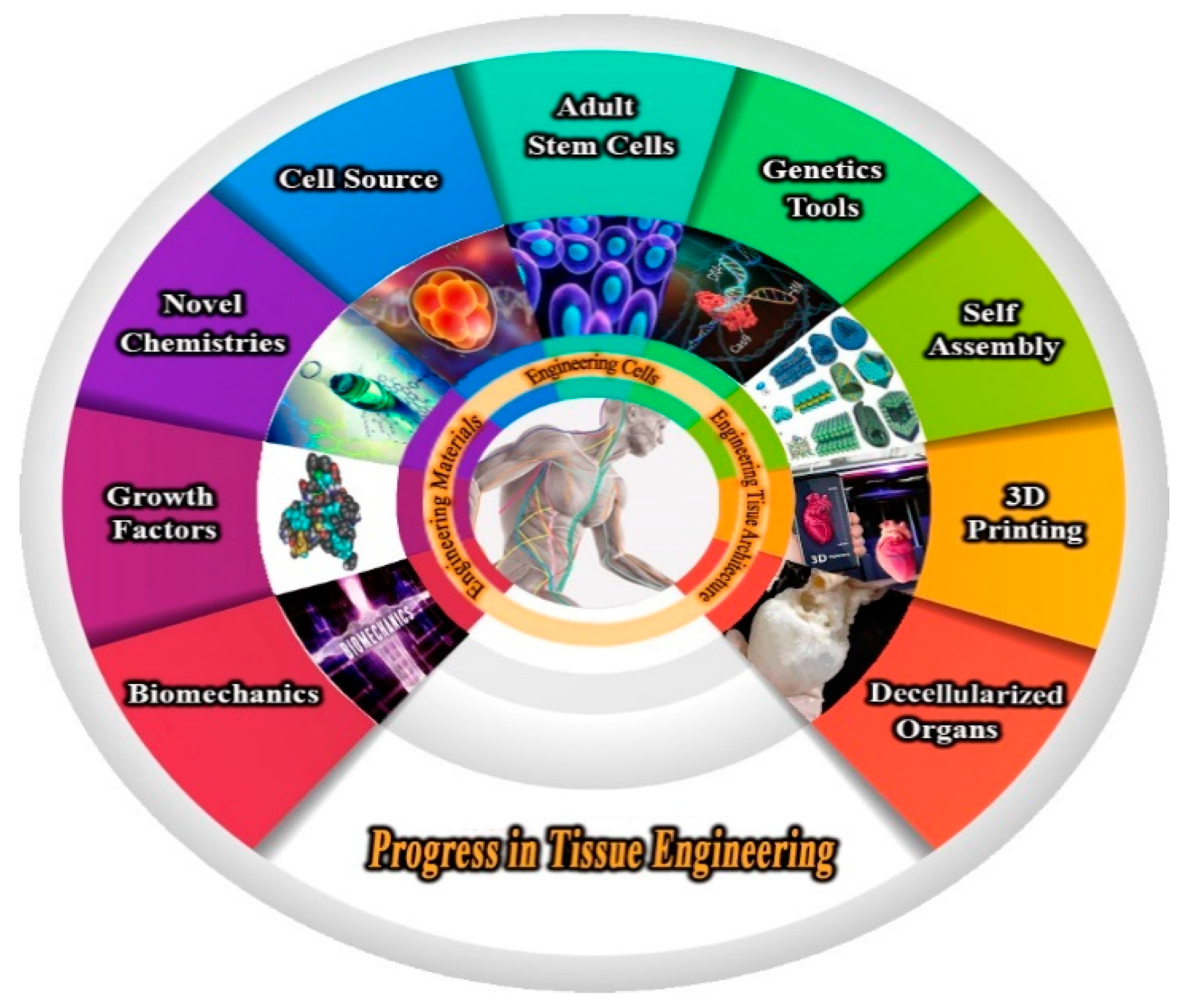 Polymers 13 02529 g001 550