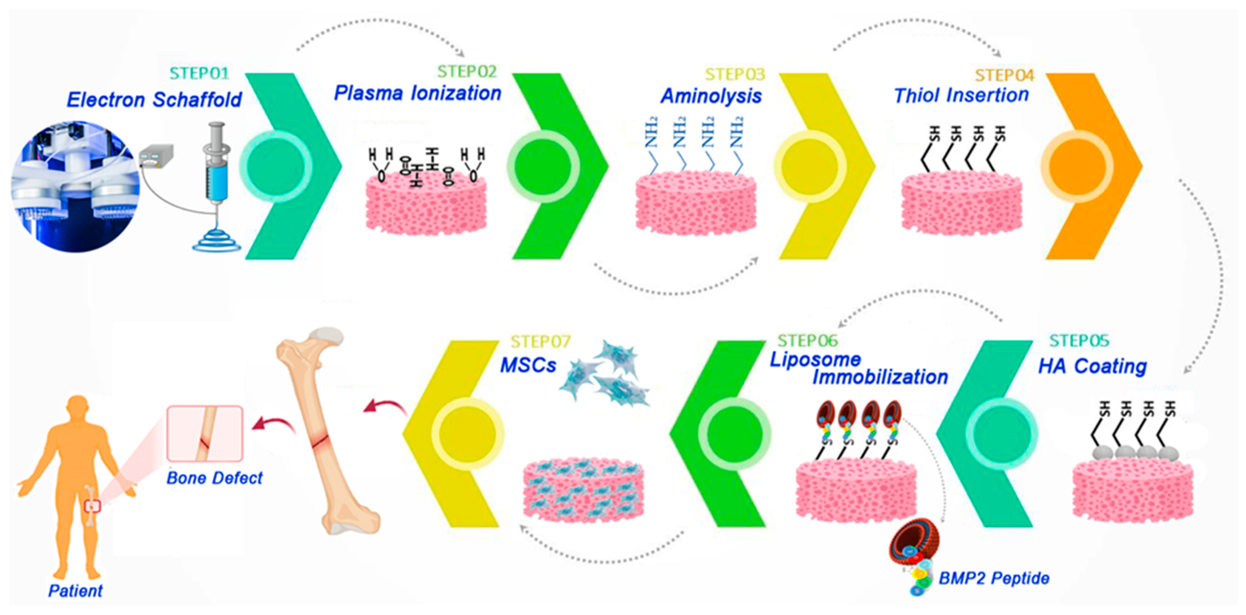Polymers 13 02529 g005 550