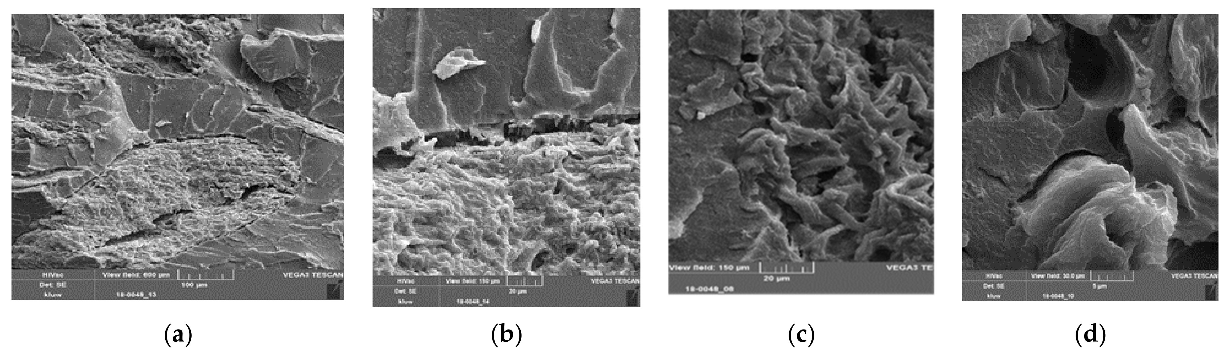 Polymers 13 02531 g008