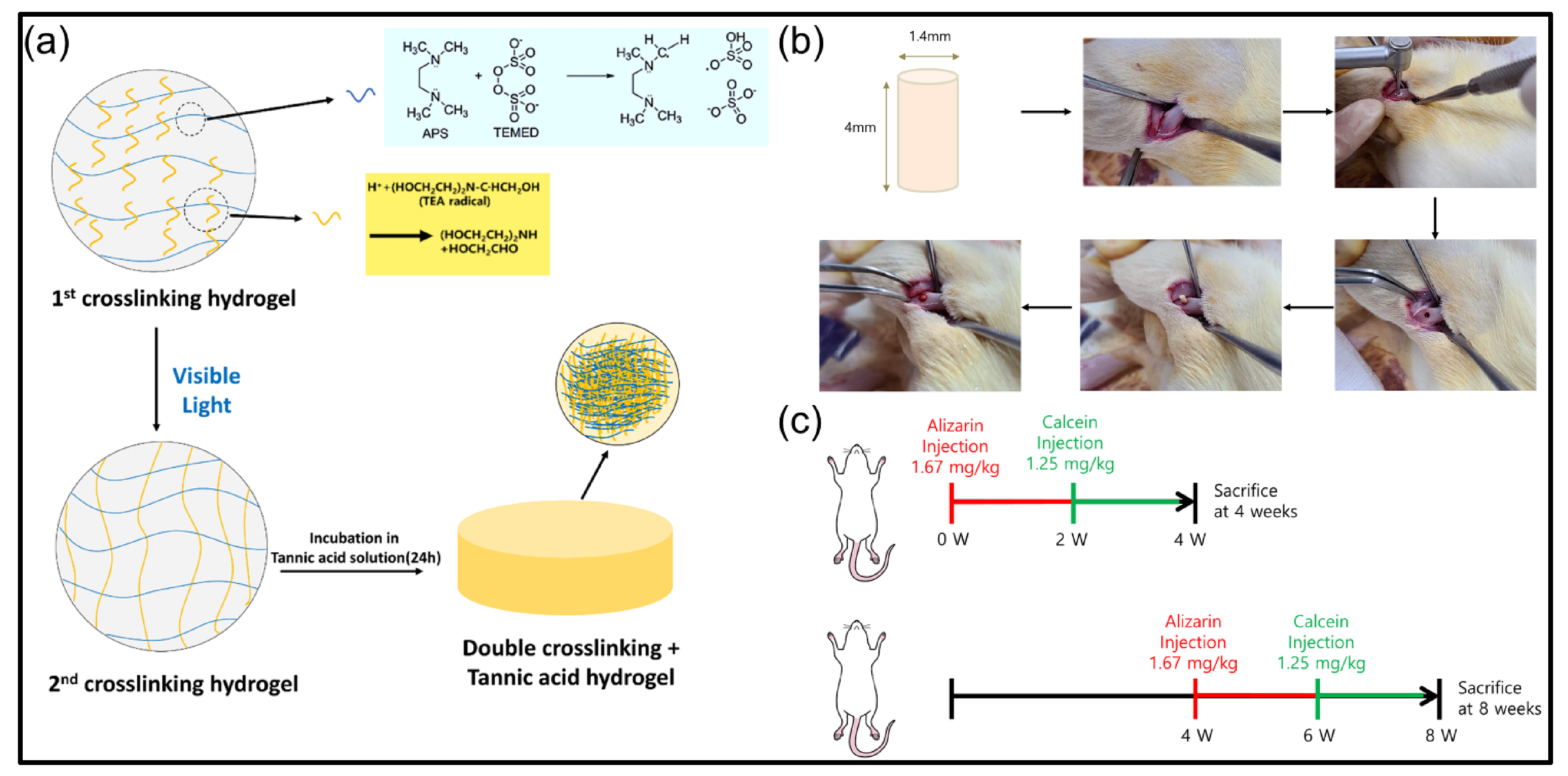 Polymers 13 02535 g001 Polymers 13 02535 g001