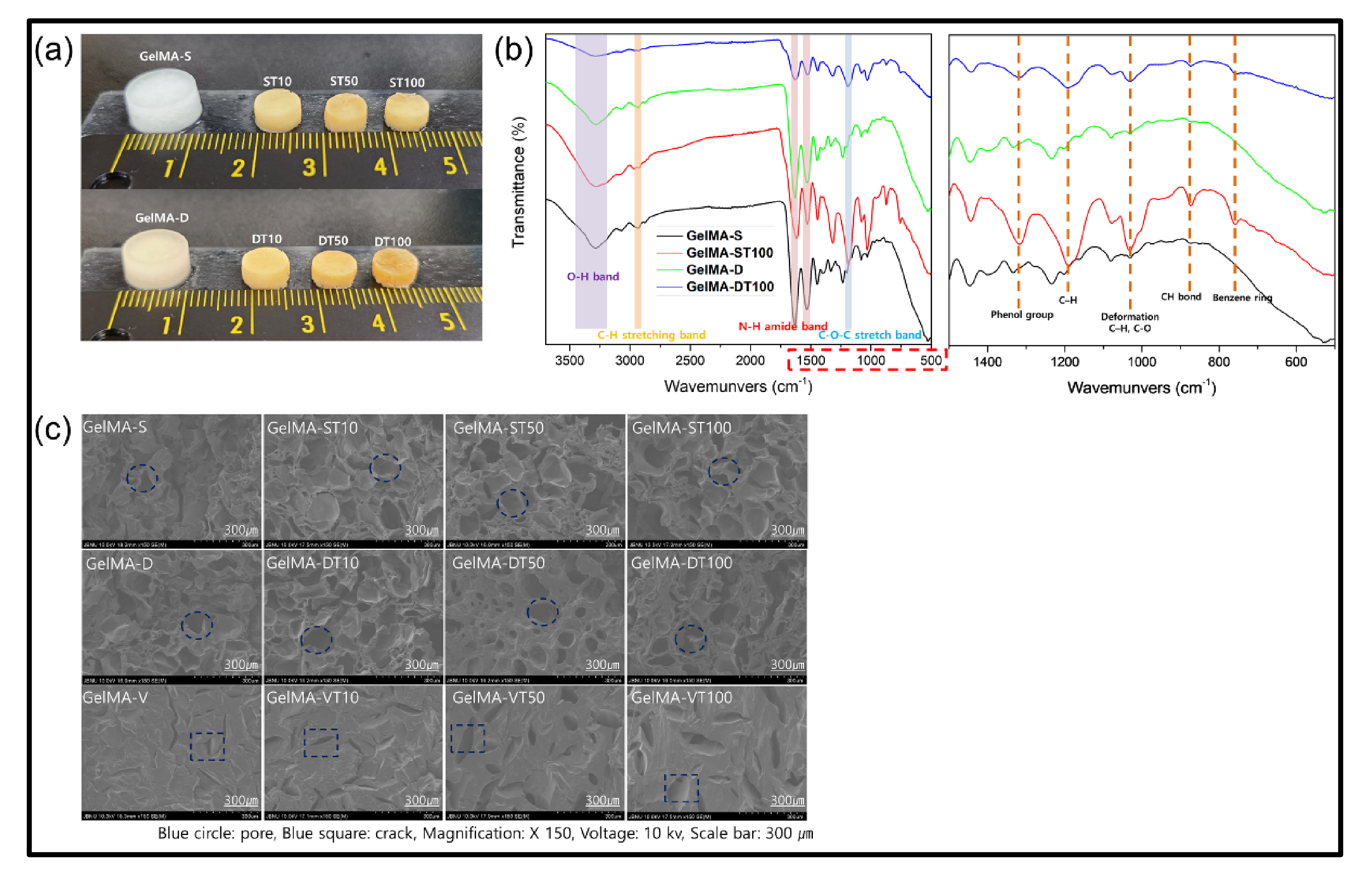 Polymers 13 02535 g002 Polymers 13 02535 g002