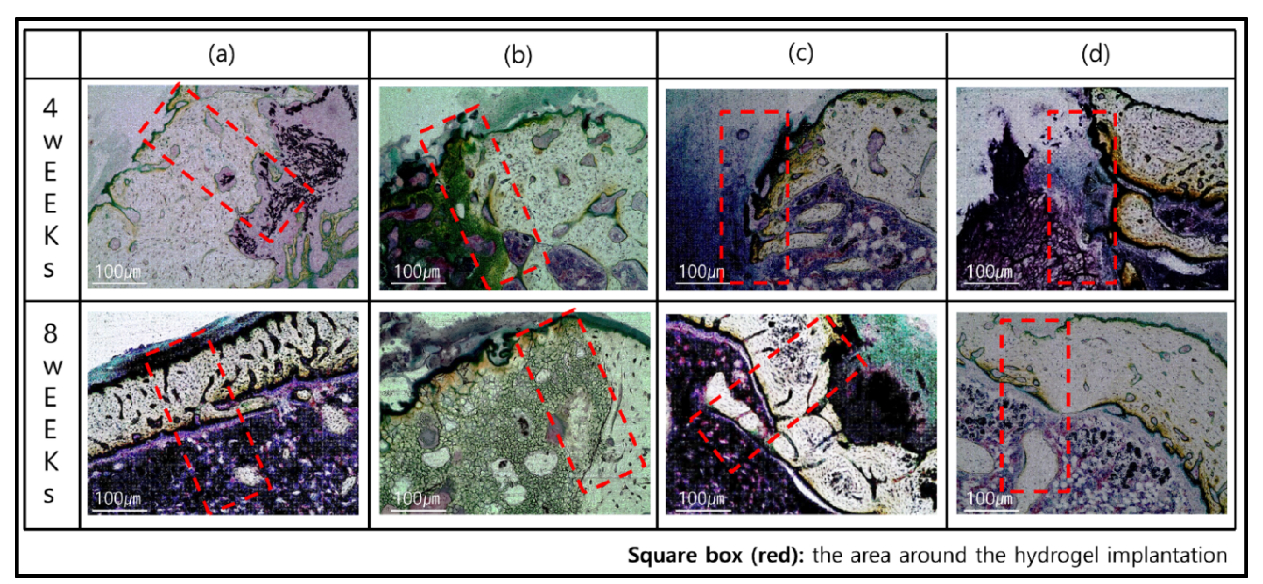 Polymers 13 02535 g006 Polymers 13 02535 g006
