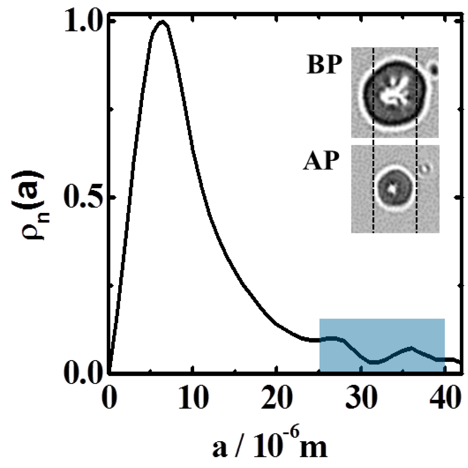Polymers Free Full Text Using Plasma Etching To Access The Polymer Density Distribution And Diffusivity Of Gel Particles Html