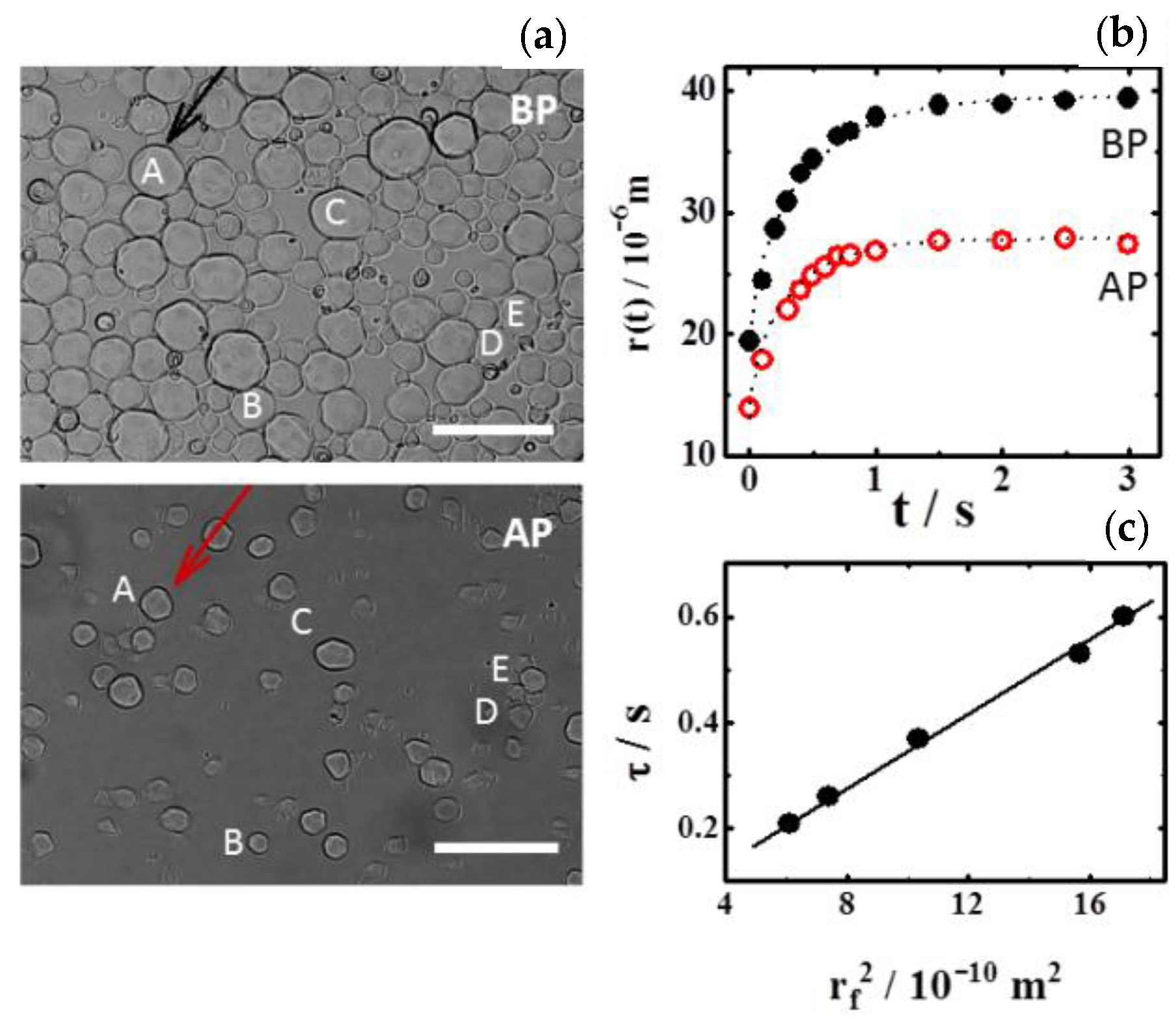Polymers 13 02537 g003