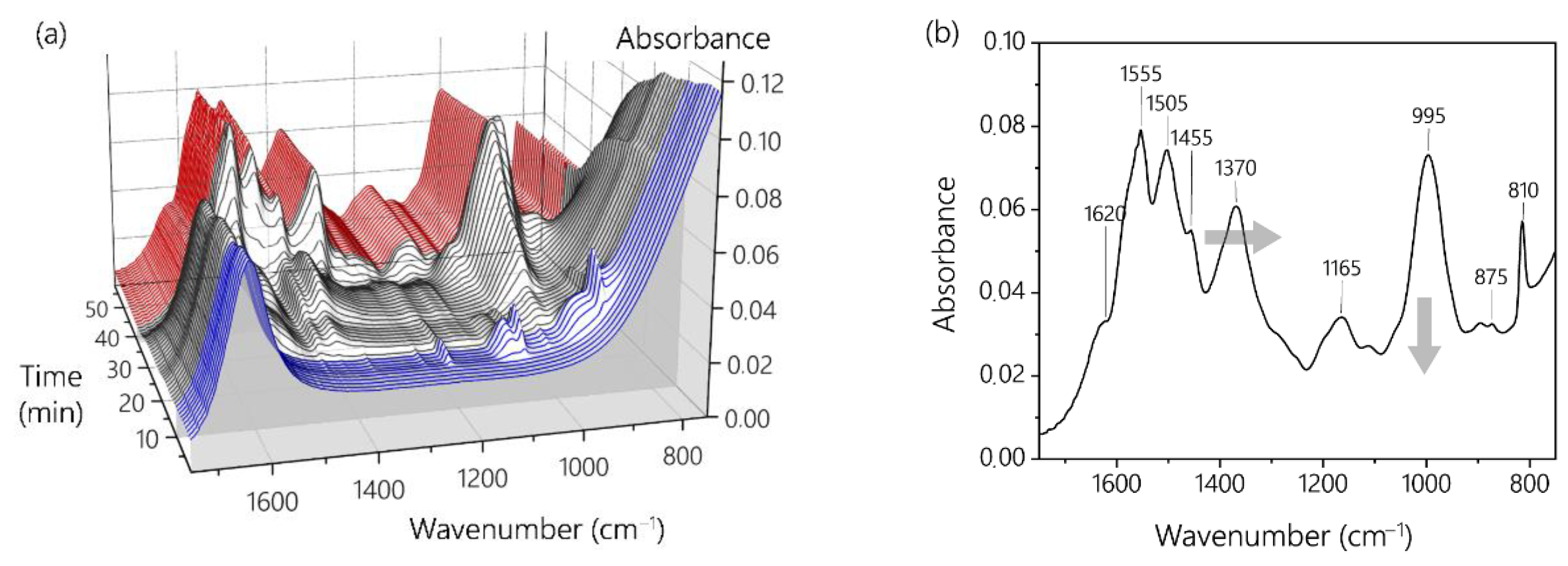 Polymers 13 02541 g004
