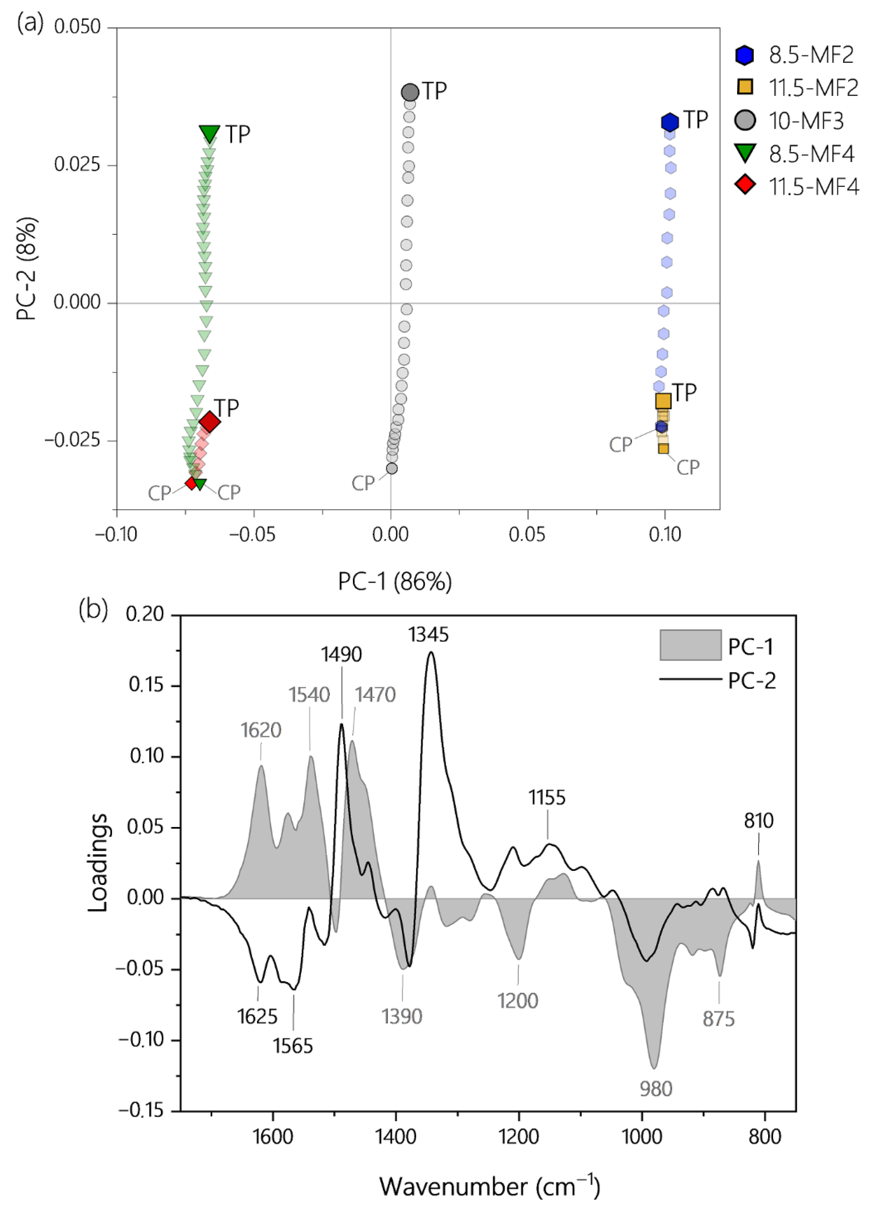 Polymers 13 02541 g008