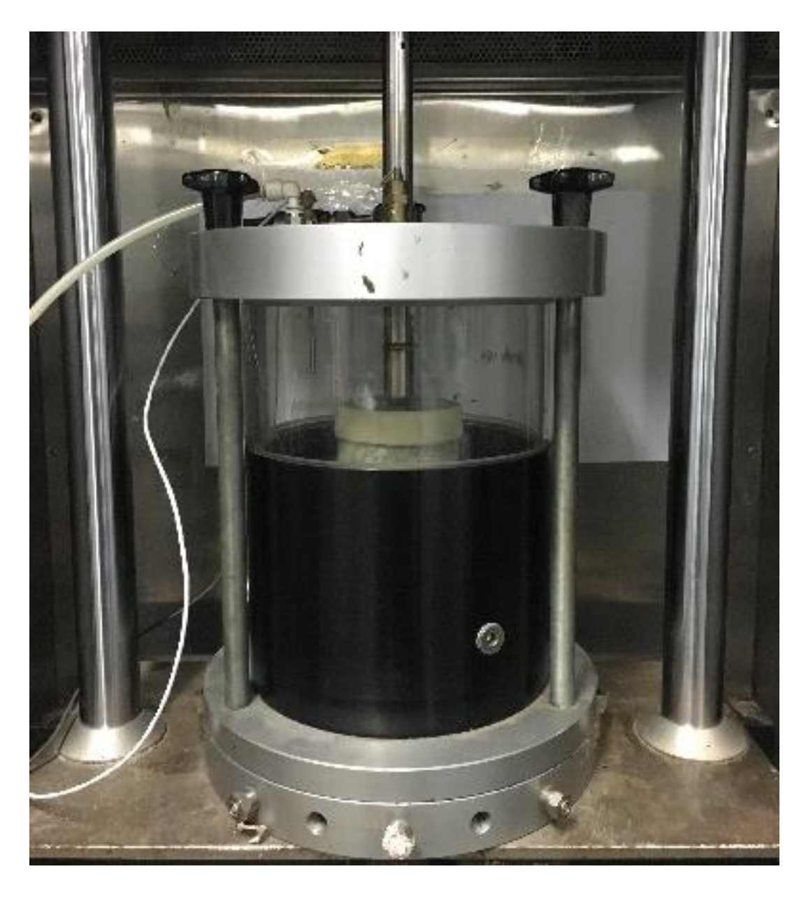 Polymers 13 02542 g003 550