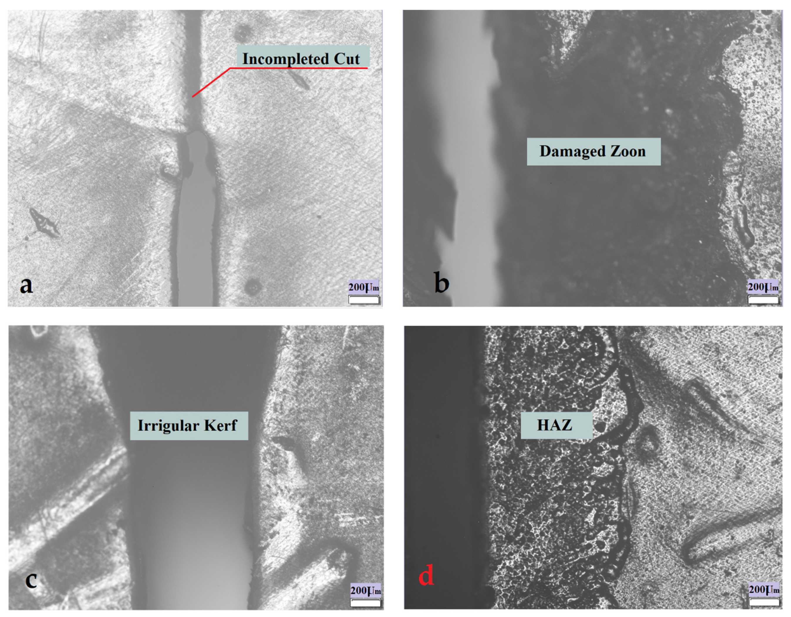 Polymers 13 02543 g002